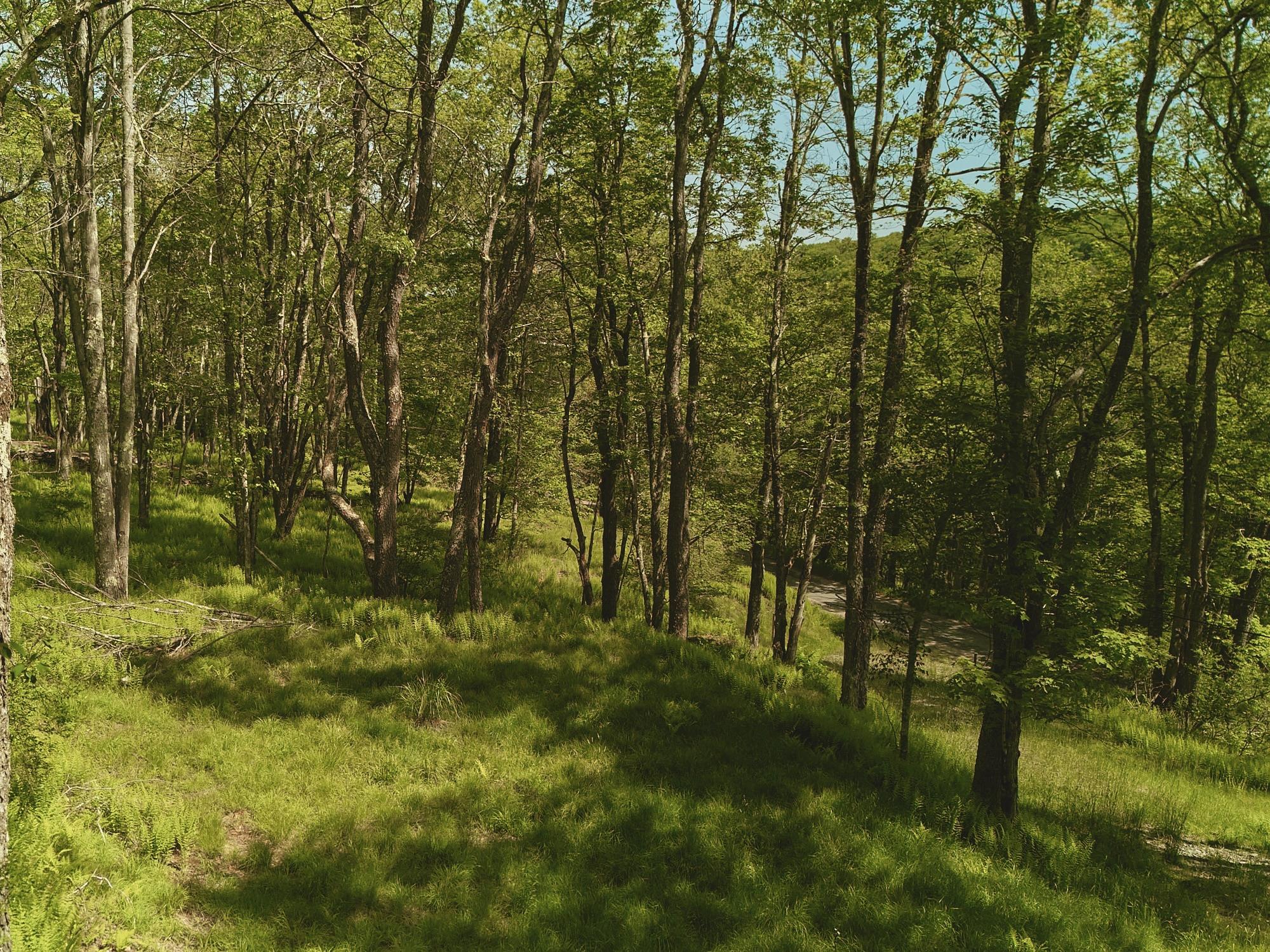 00 Benton Hollow Property Photo 10