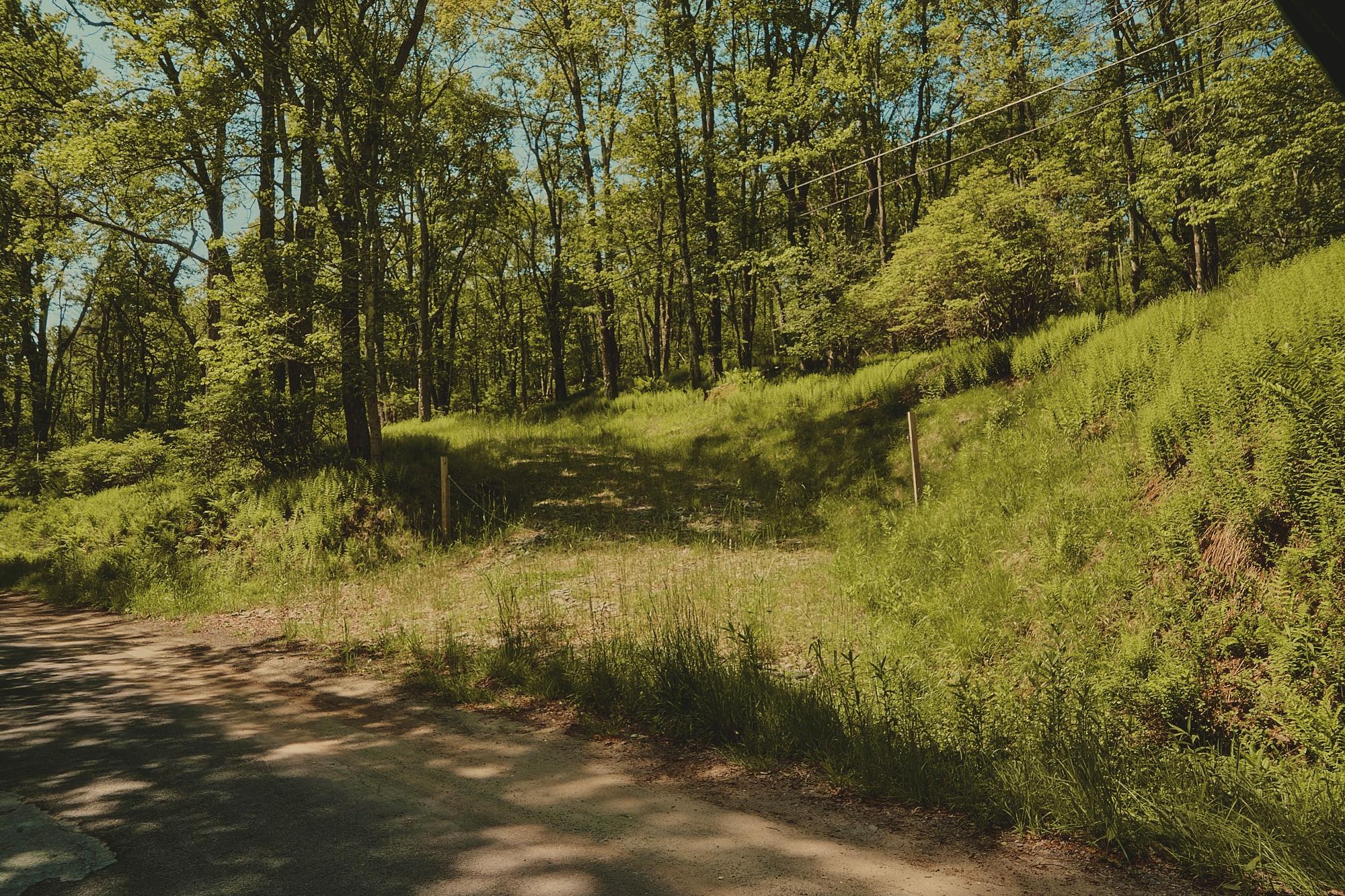00 Benton Hollow Property Photo 12