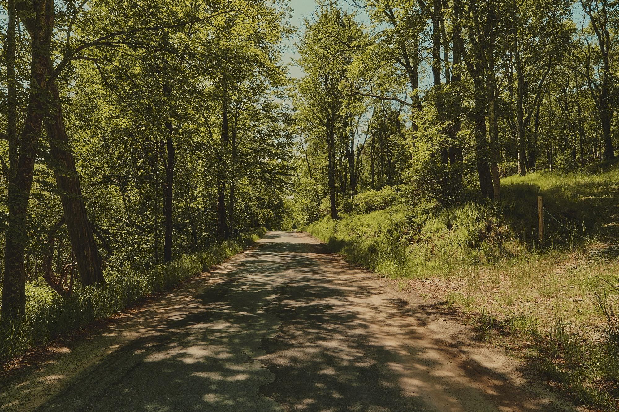 00 Benton Hollow Property Photo 13