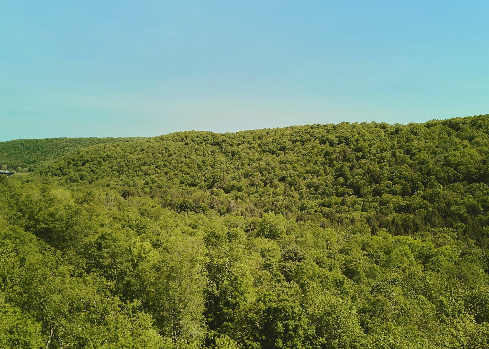 00 Benton Hollow Property Photo 15