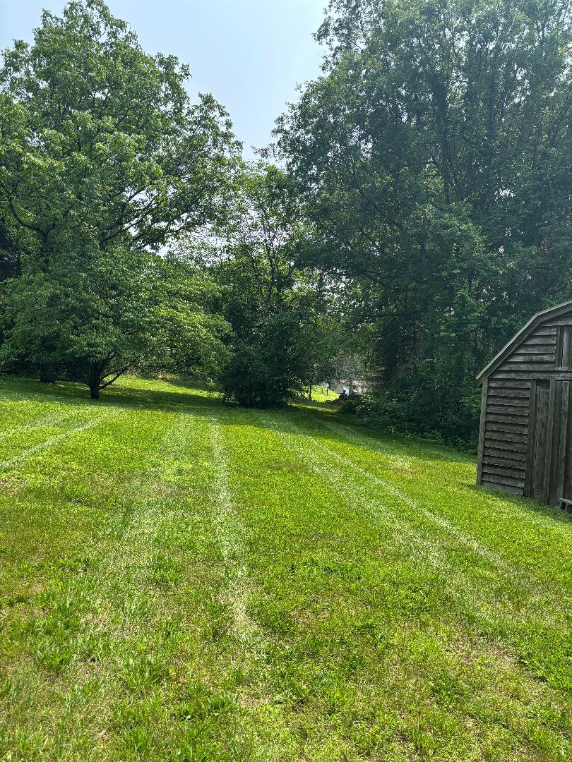Gold Road Property Photo 1