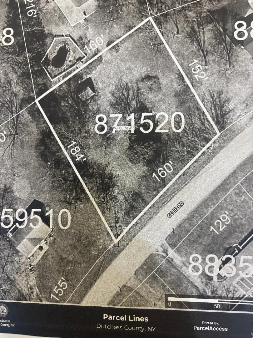 Gold Road Property Photo 2