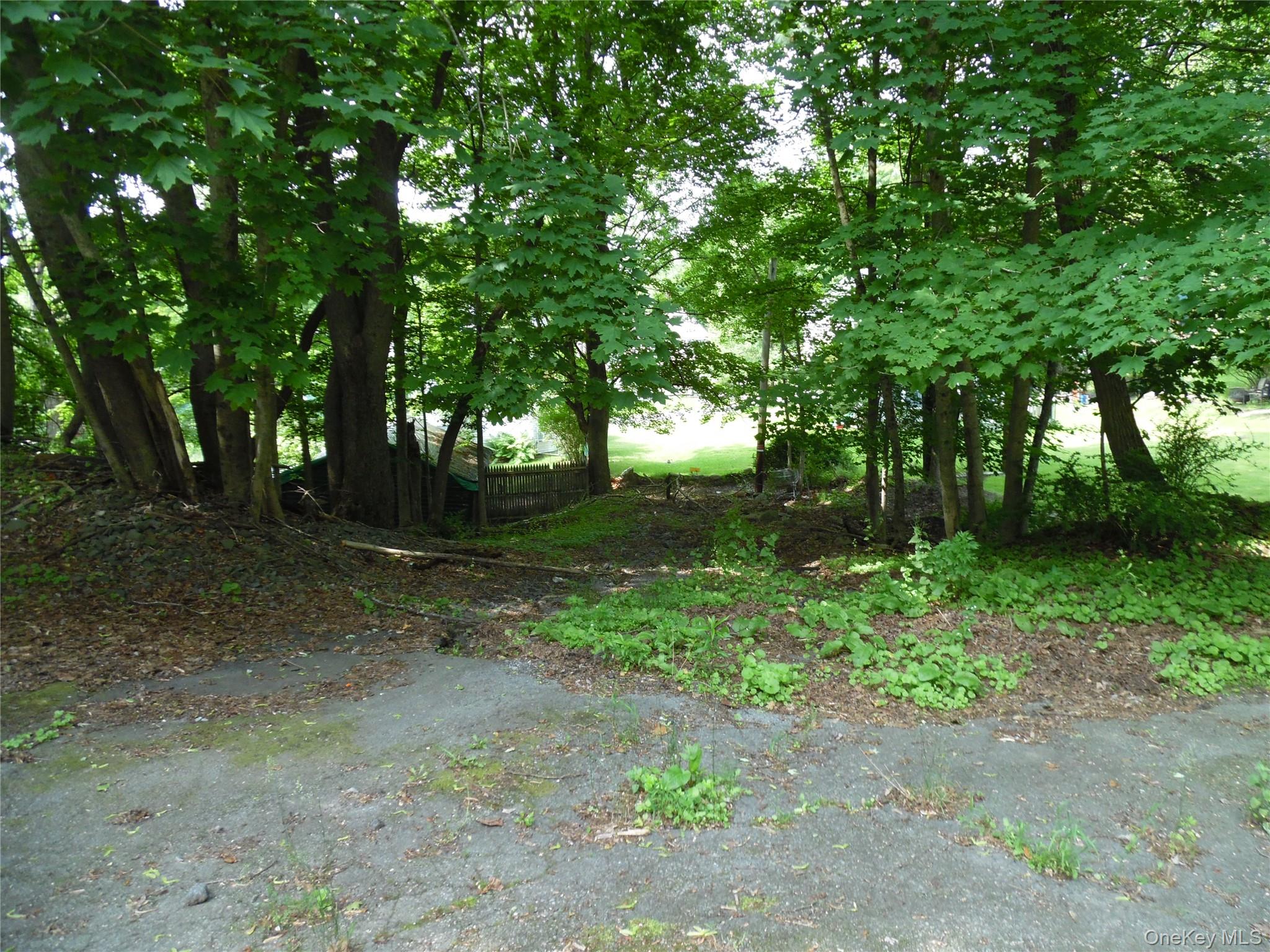 397 Broadway Property Photo 5