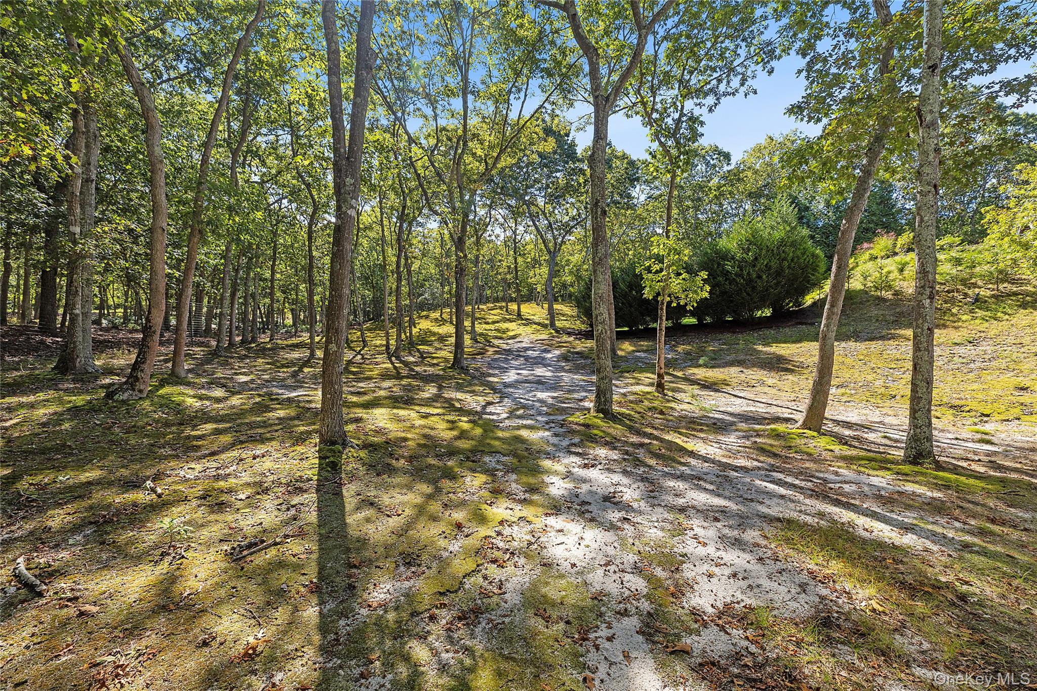 22 Old Trail Road Property Photo 37