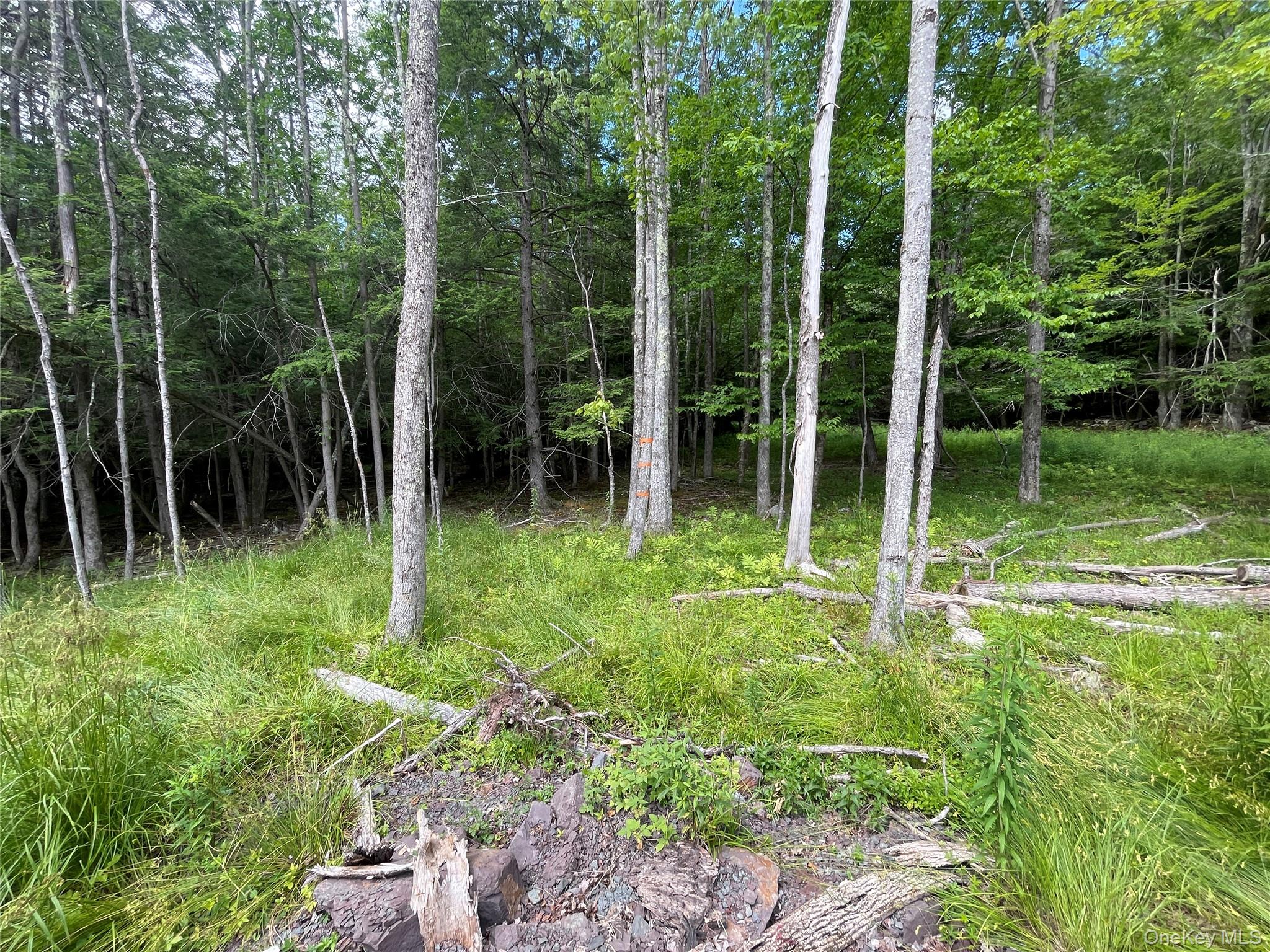 Tbd Boulder Brook Lot B14 Road Property Photo 3
