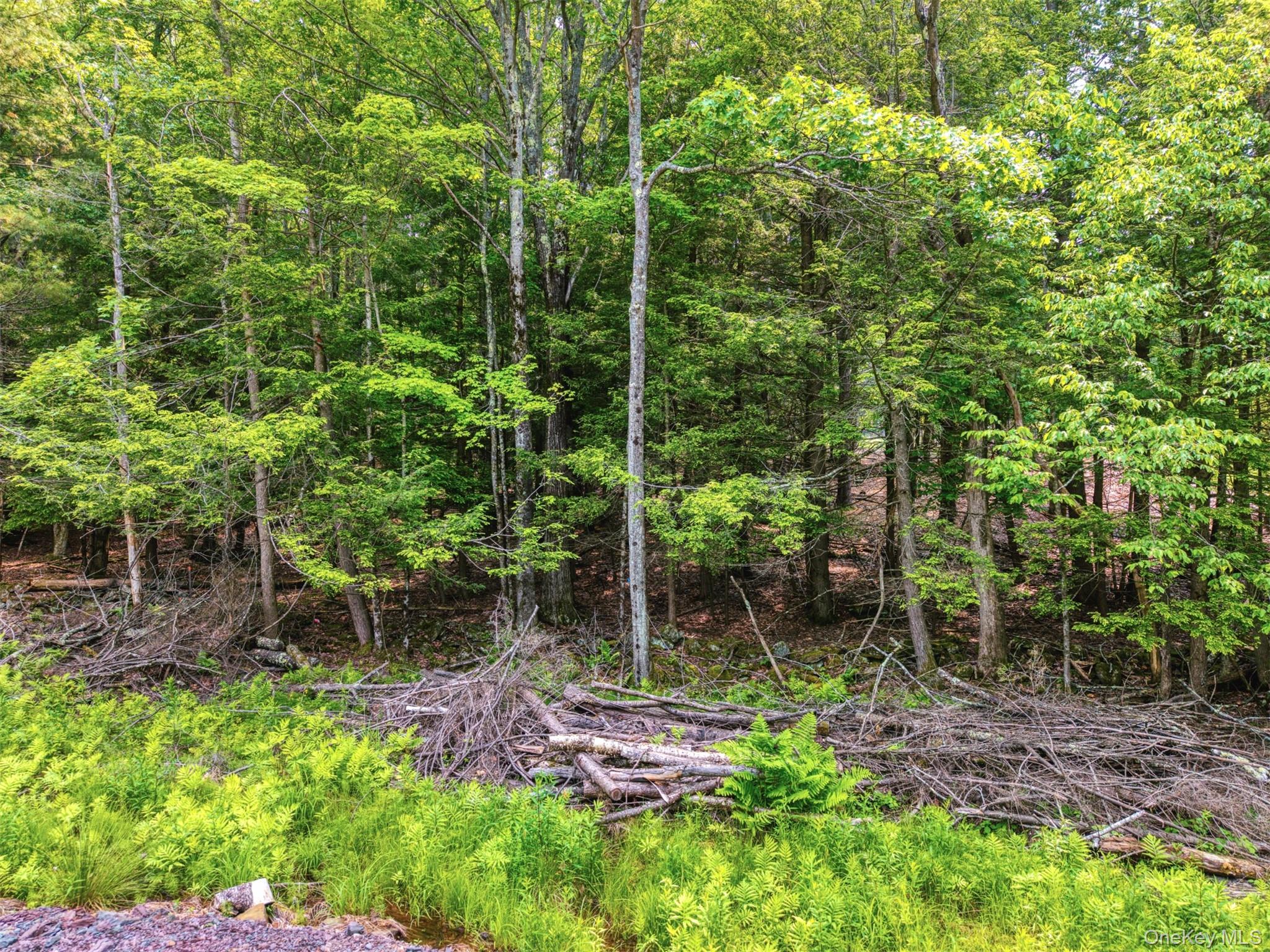 Tbd Boulder Brook Lot B14 Road Property Photo 4