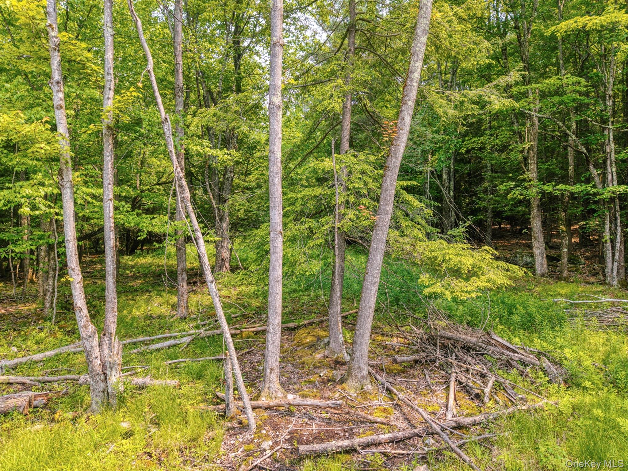 Tbd Boulder Brook Lot B14 Road Property Photo 5