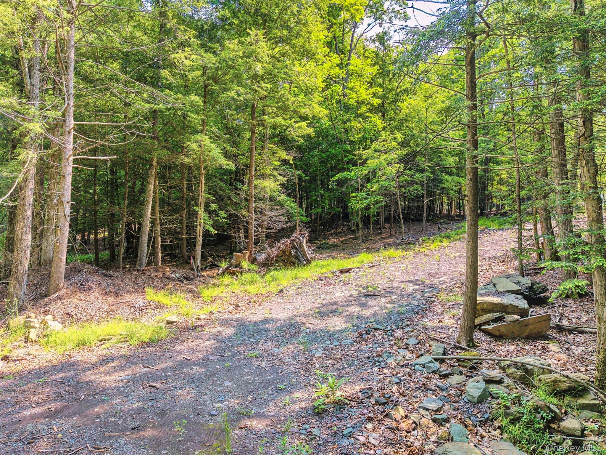Tbd Boulder Brook Lot B14 Road Property Photo 27