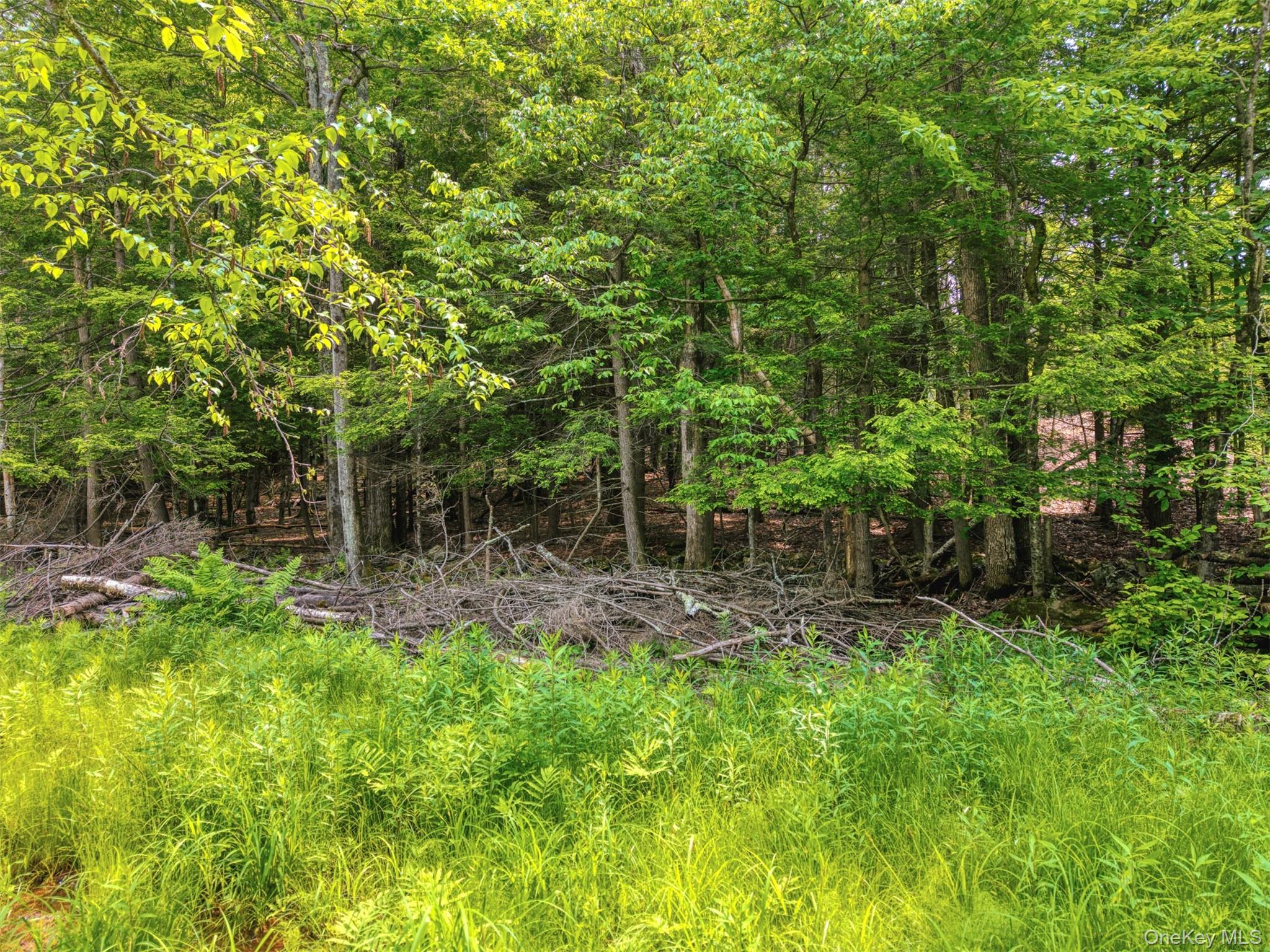Tbd Boulder Brook Lot B14 Road Property Photo 30