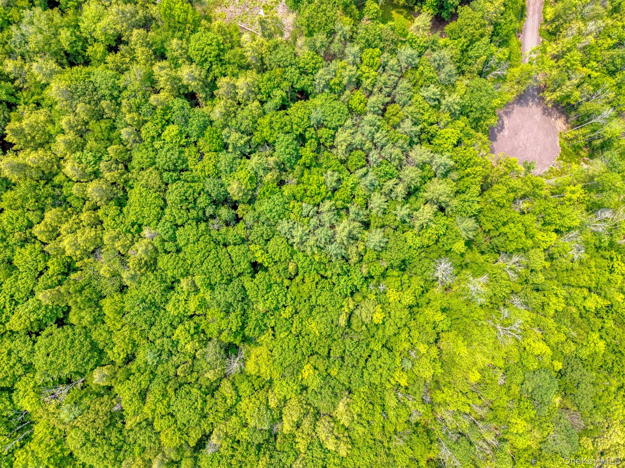 Tbd Boulder Brook Lot B14 Road Property Photo 35