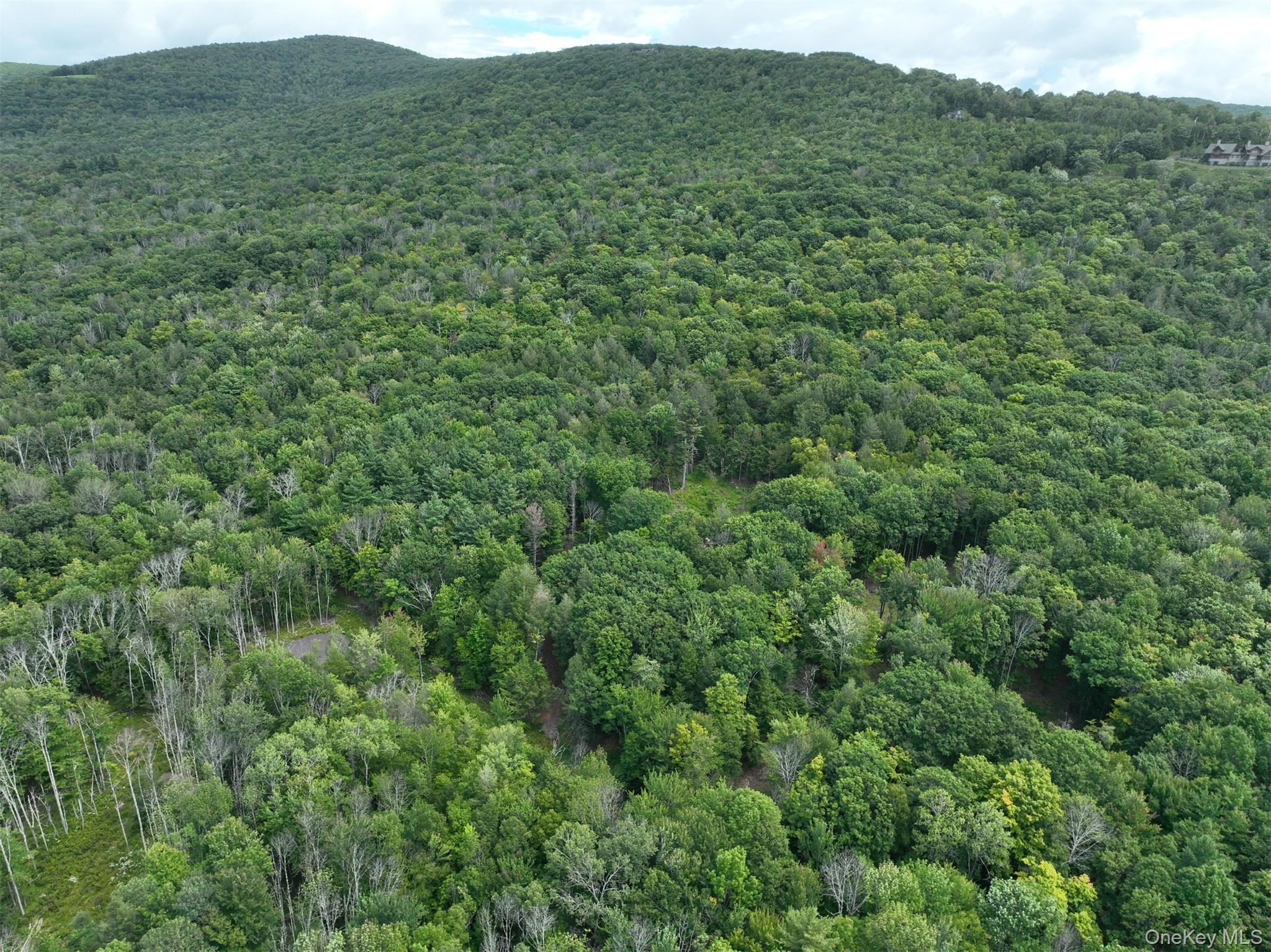 Tbd Boulder Brook Lot B14 Road Property Photo 47
