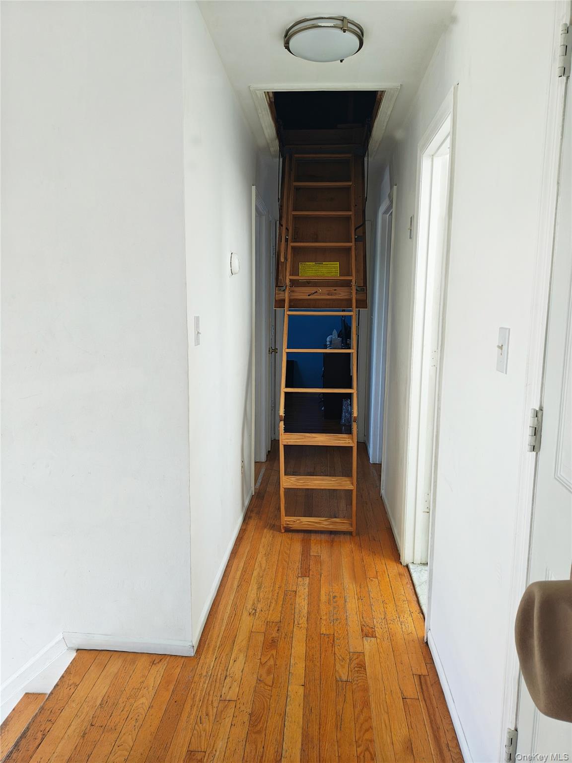 1056 E Arthur Street Property Photo 19