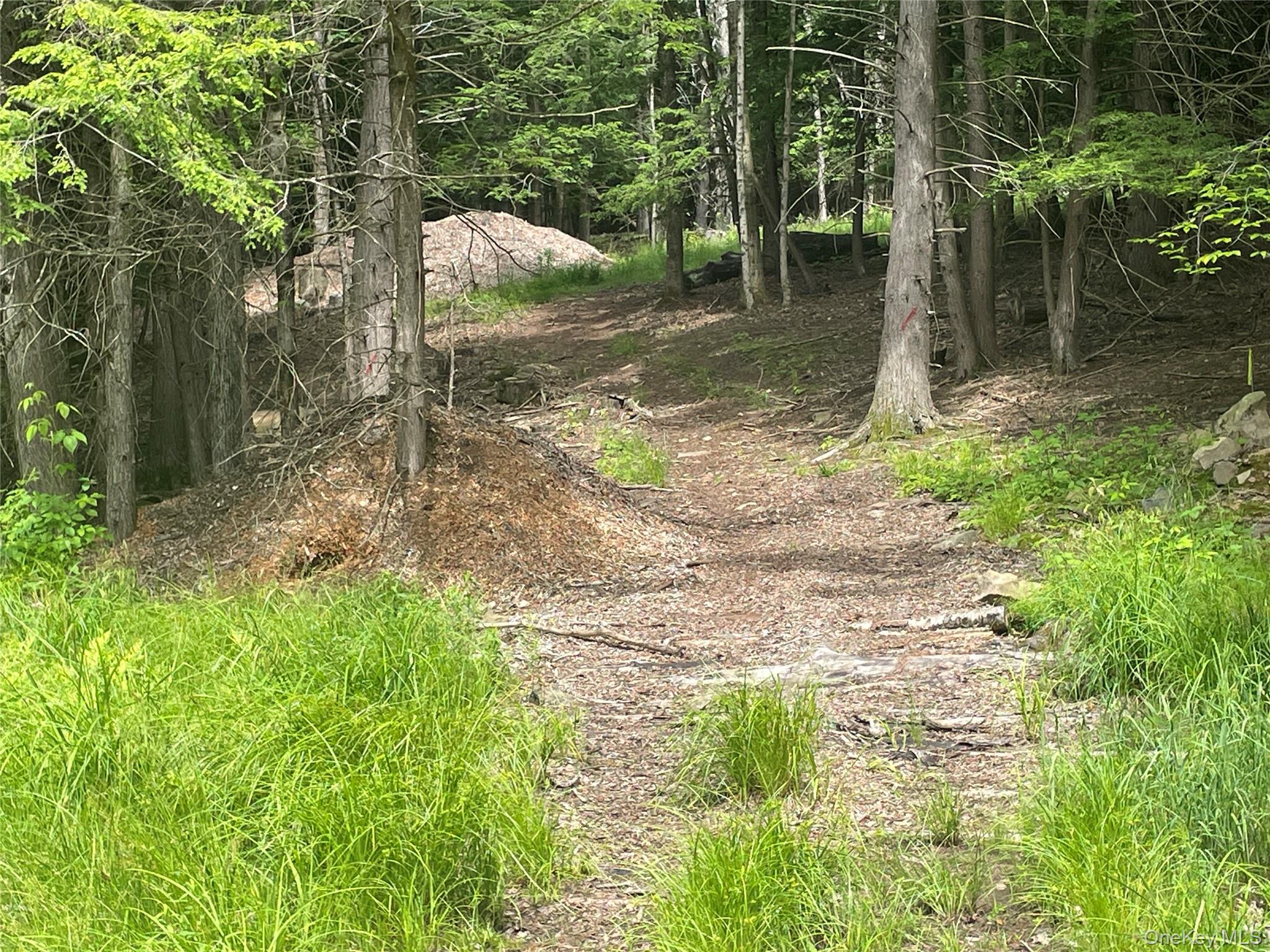 Tbd Boulder Brook Lot B12 Road Property Photo 3