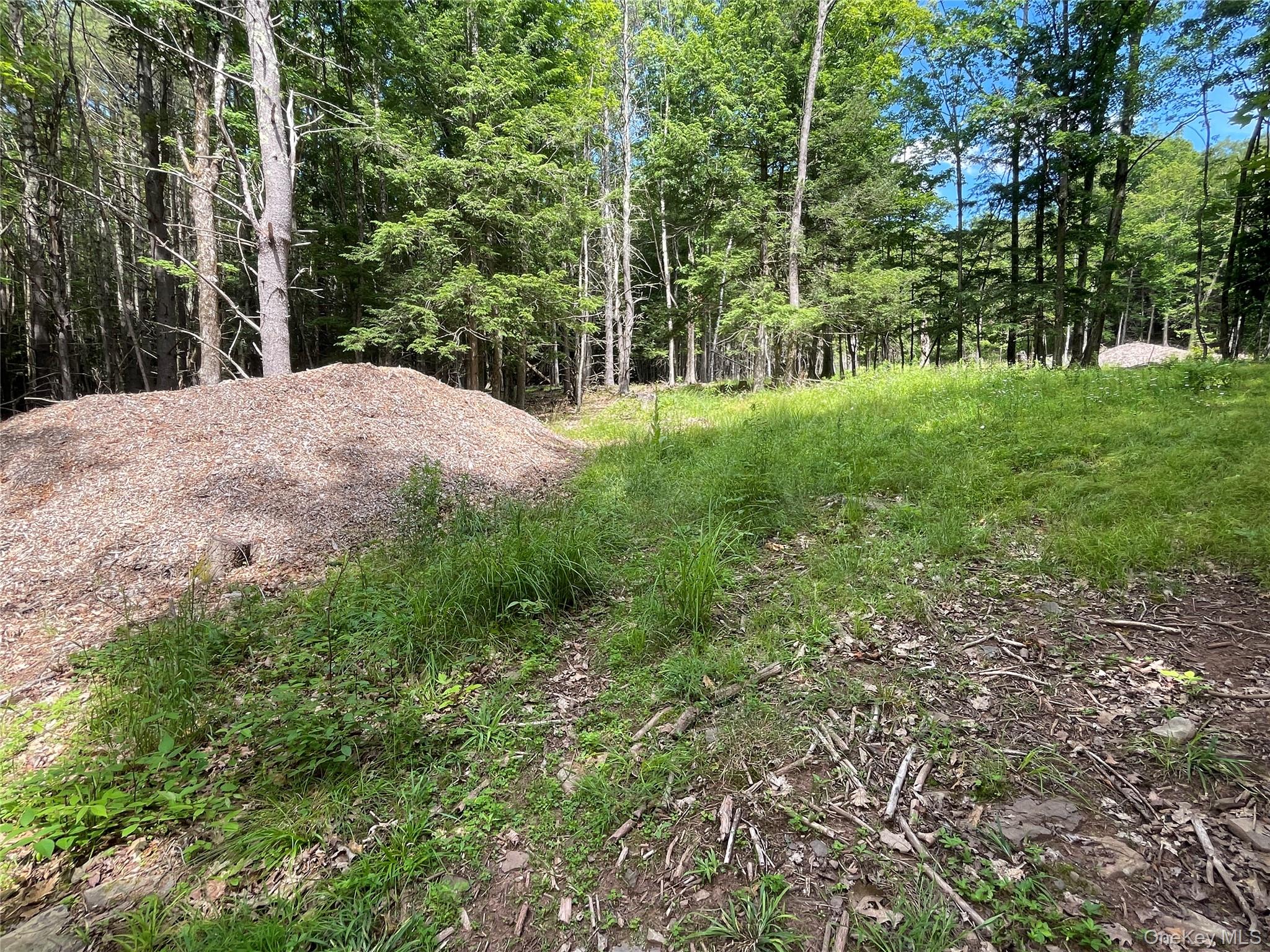 Tbd Boulder Brook Lot B12 Road Property Photo 4