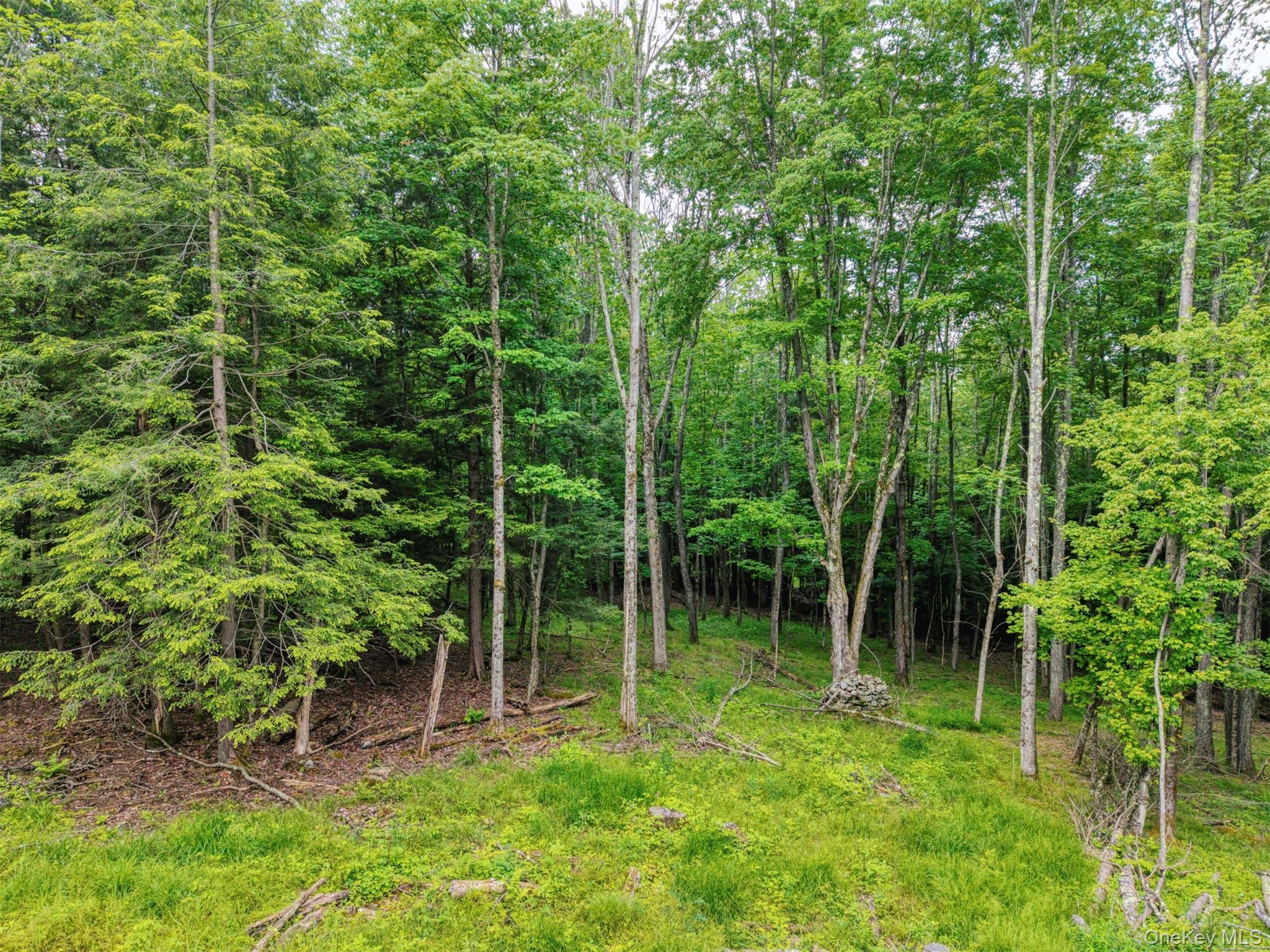 Tbd Boulder Brook Lot B12 Road Property Photo 6