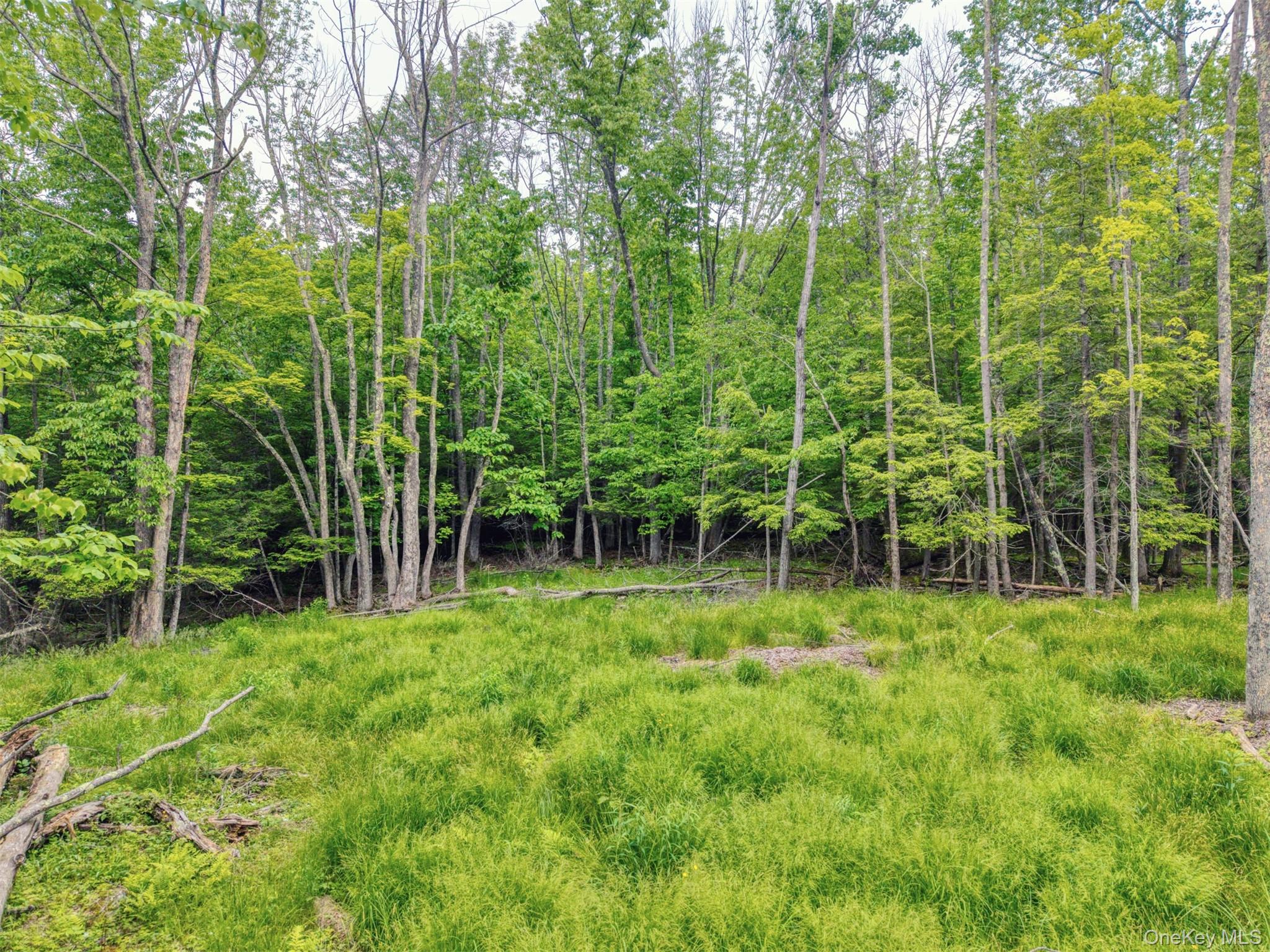 Tbd Boulder Brook Lot B12 Road Property Photo 7