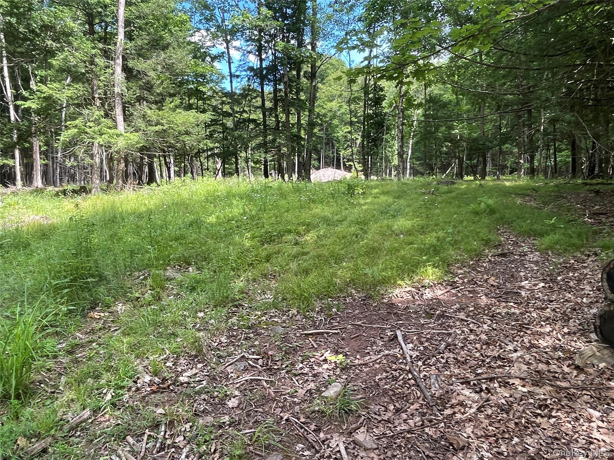 Tbd Boulder Brook Lot B12 Road Property Photo 8