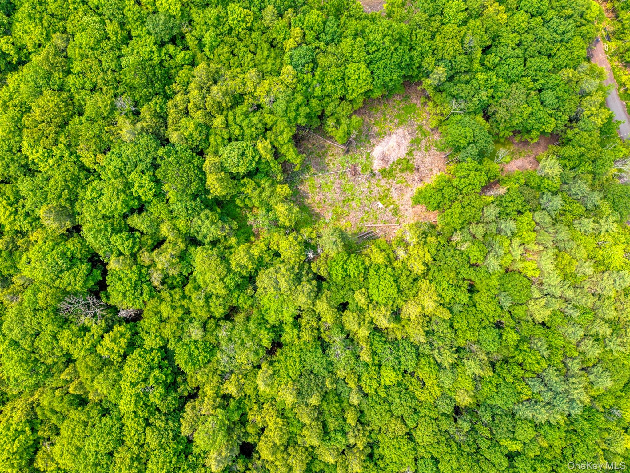 Tbd Boulder Brook Lot B12 Road Property Photo 24