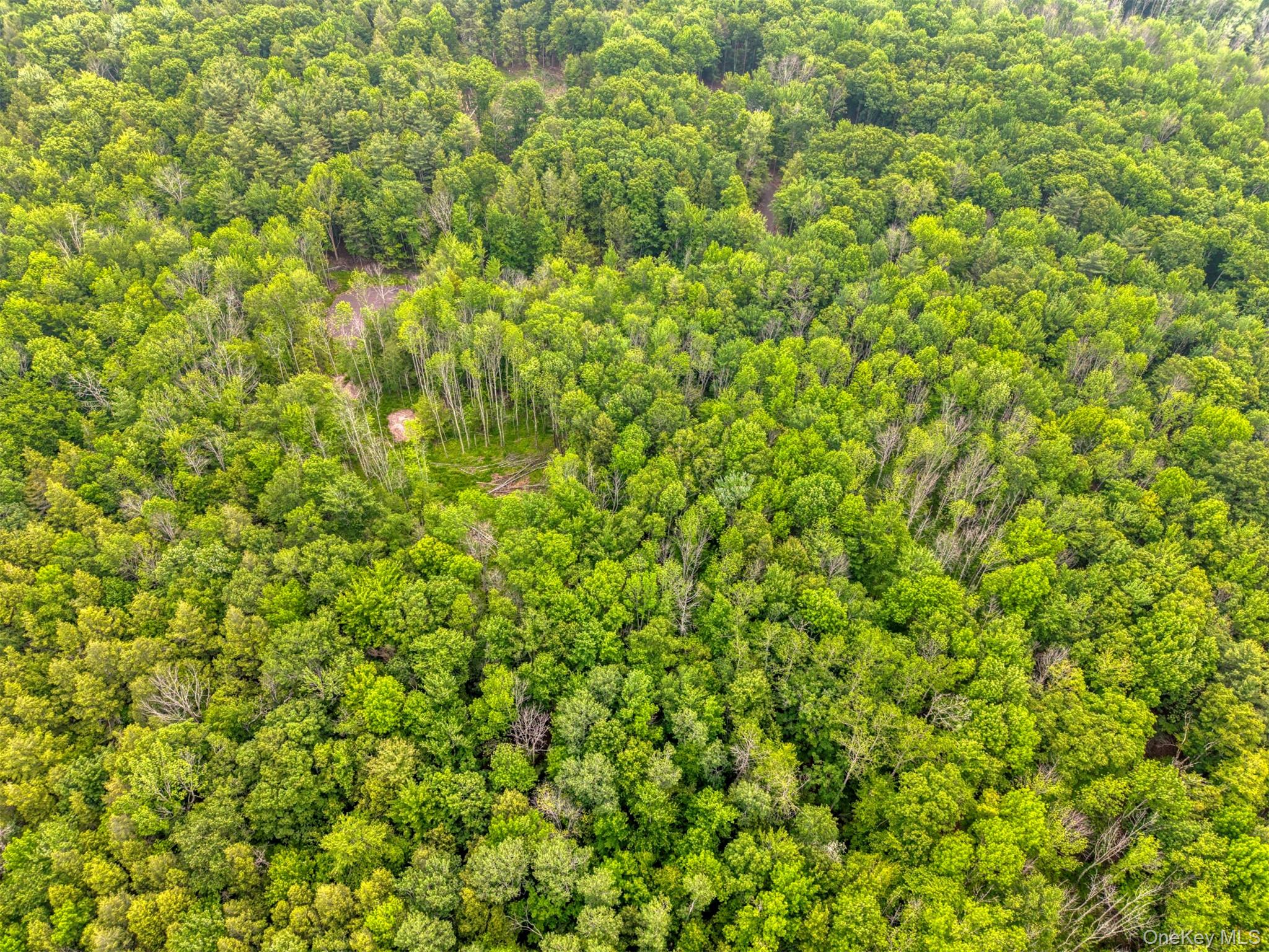 Tbd Boulder Brook Lot B12 Road Property Photo 32