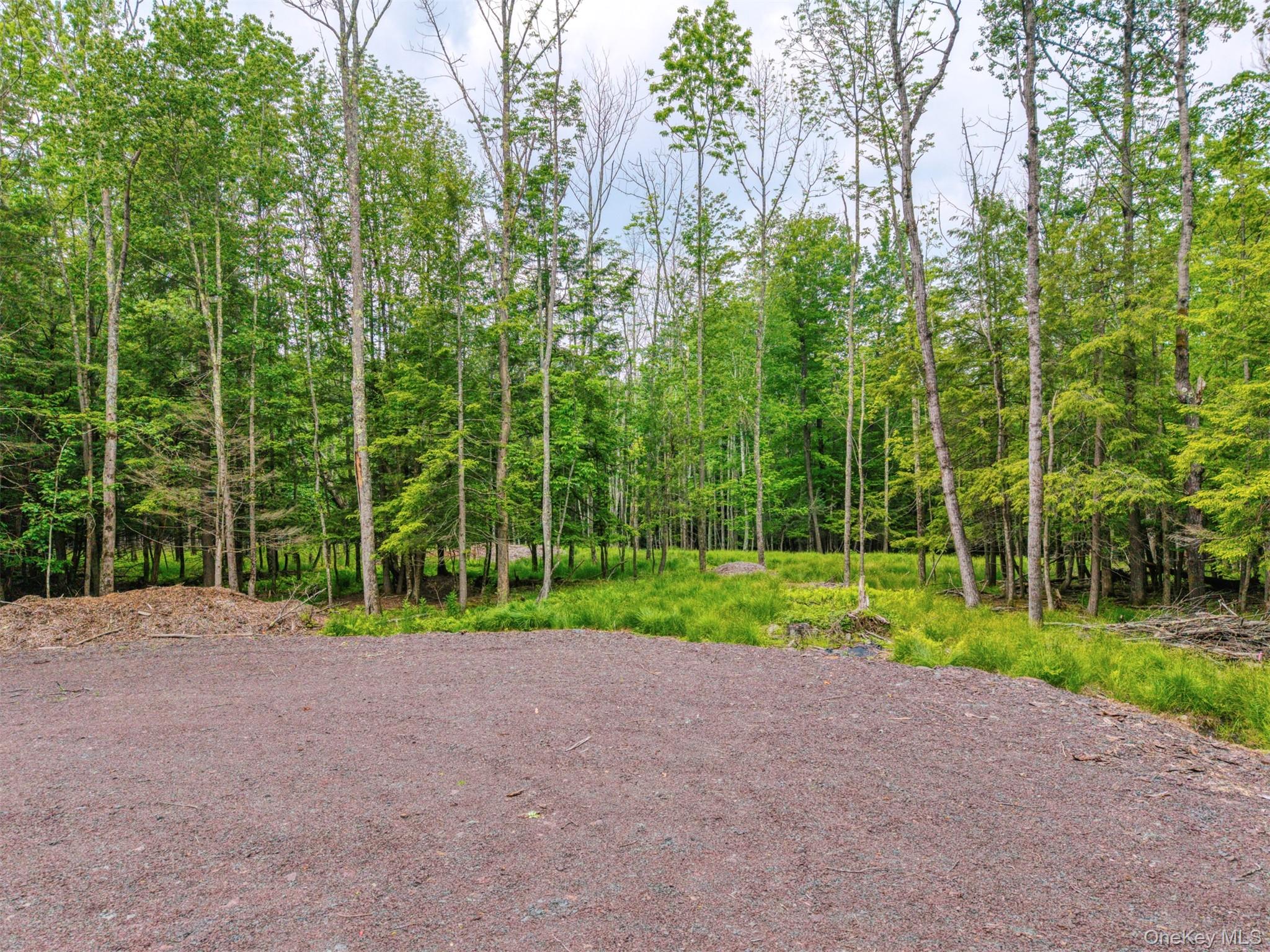 Tbd Boulder Brook Lot B12 Road Property Photo 37