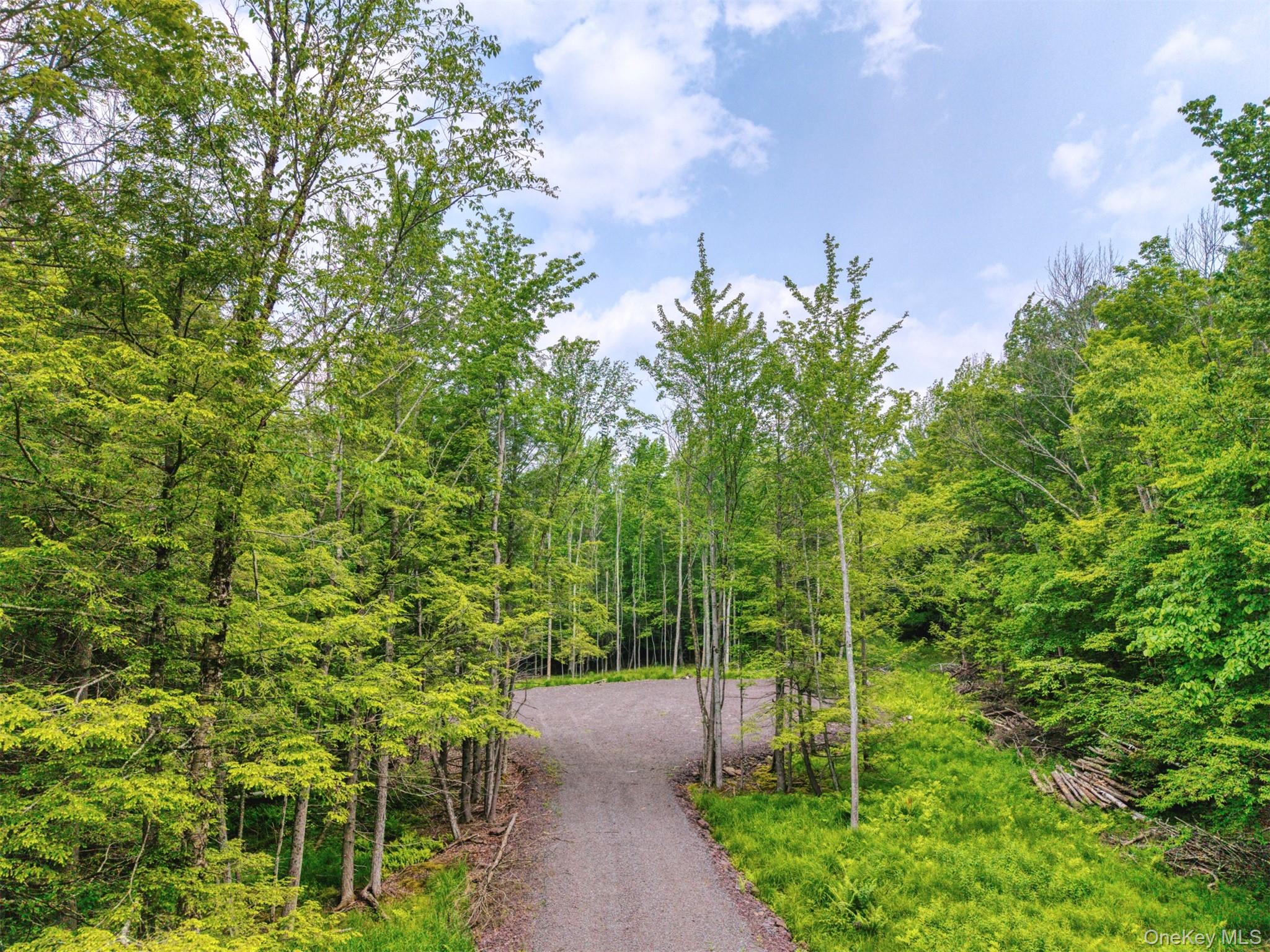 Tbd Boulder Brook Lot B12 Road Property Photo 38