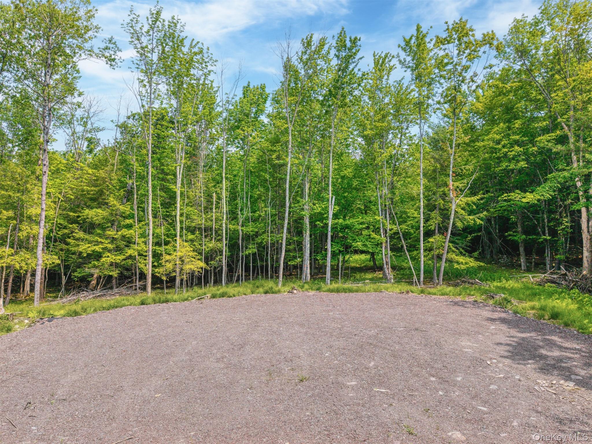 Tbd Boulder Brook Lot 11 Road Property Photo 27