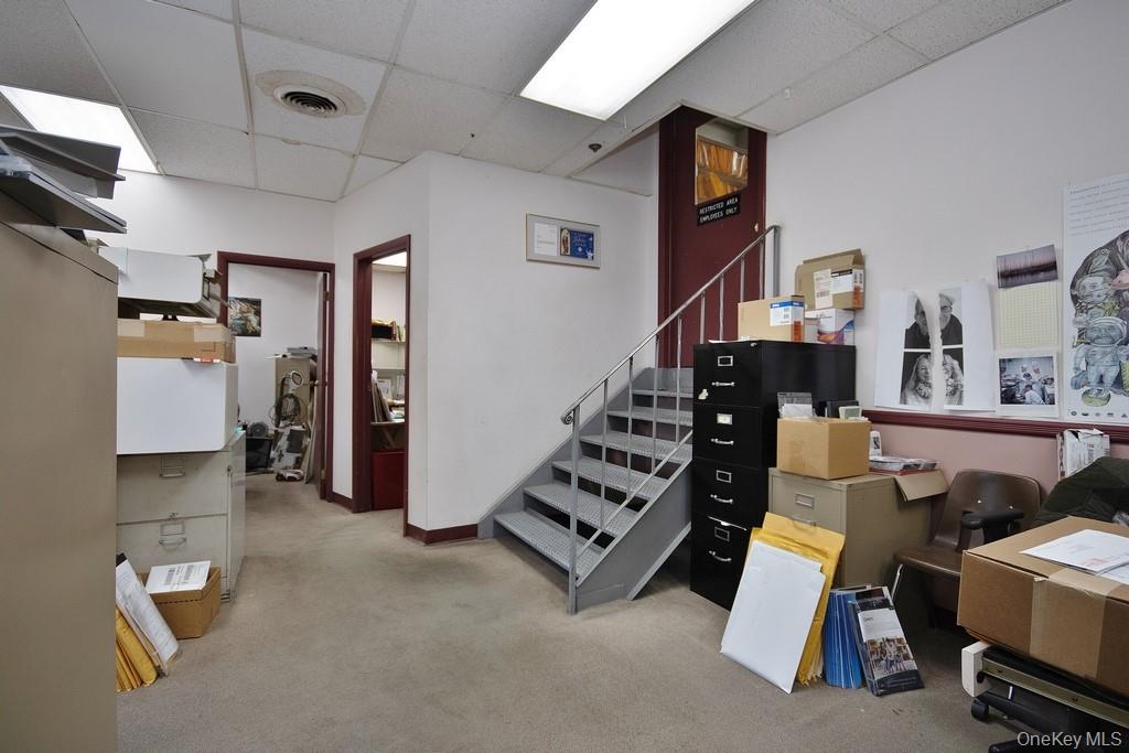 49 Oakley Street Property Photo 13