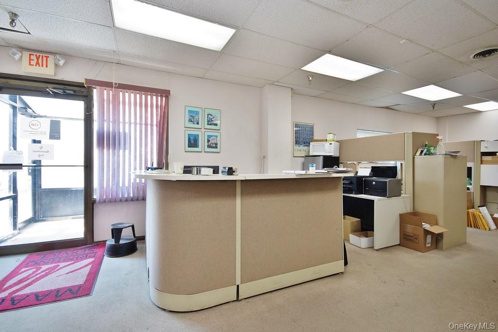 49 Oakley Street Property Photo 16