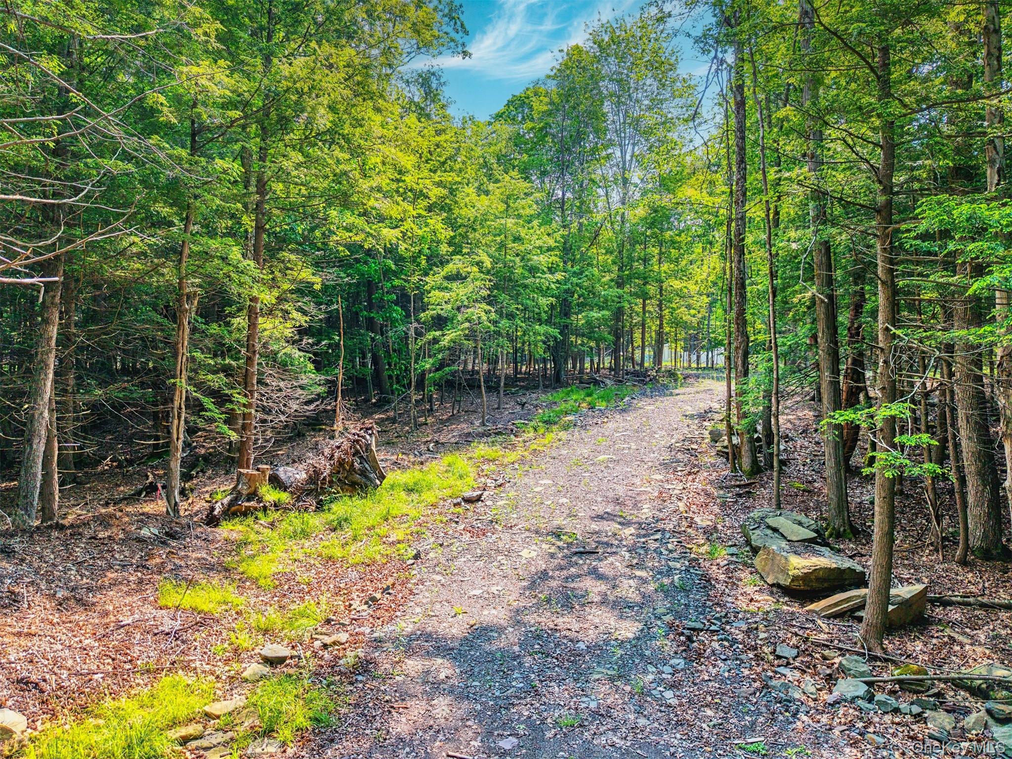 Tbd Boulder Brook Lots 33-38 Road Property Photo 4
