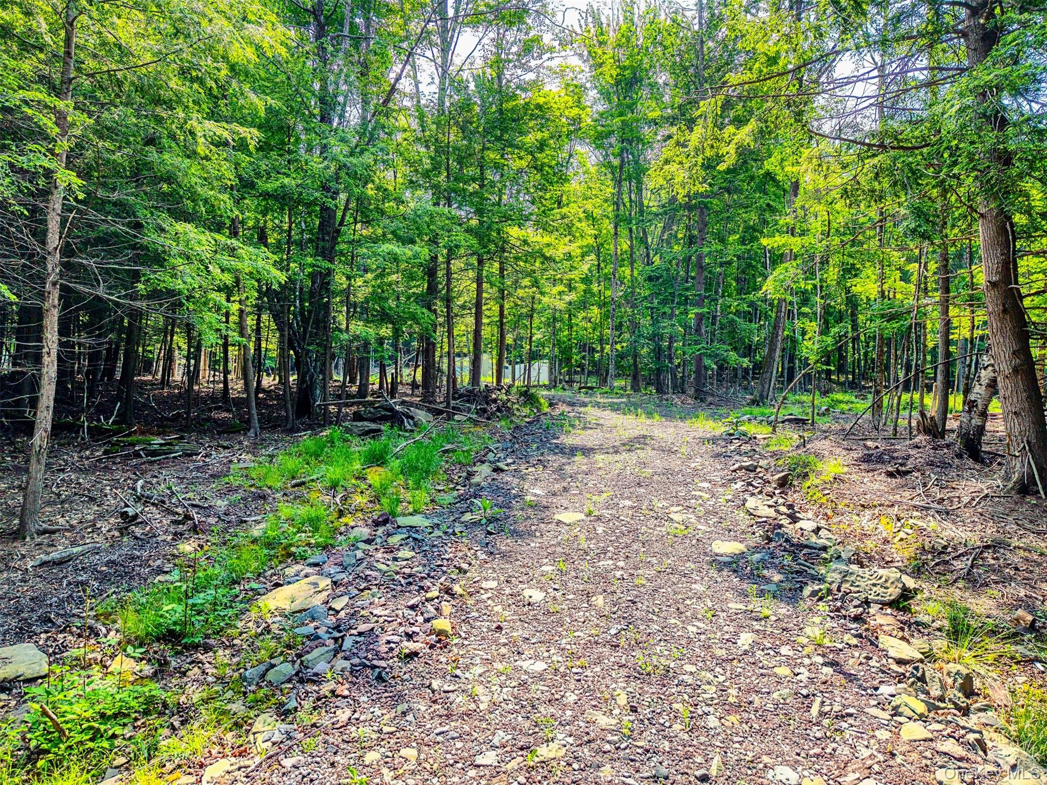 Tbd Boulder Brook Lots 33-38 Road Property Photo 5