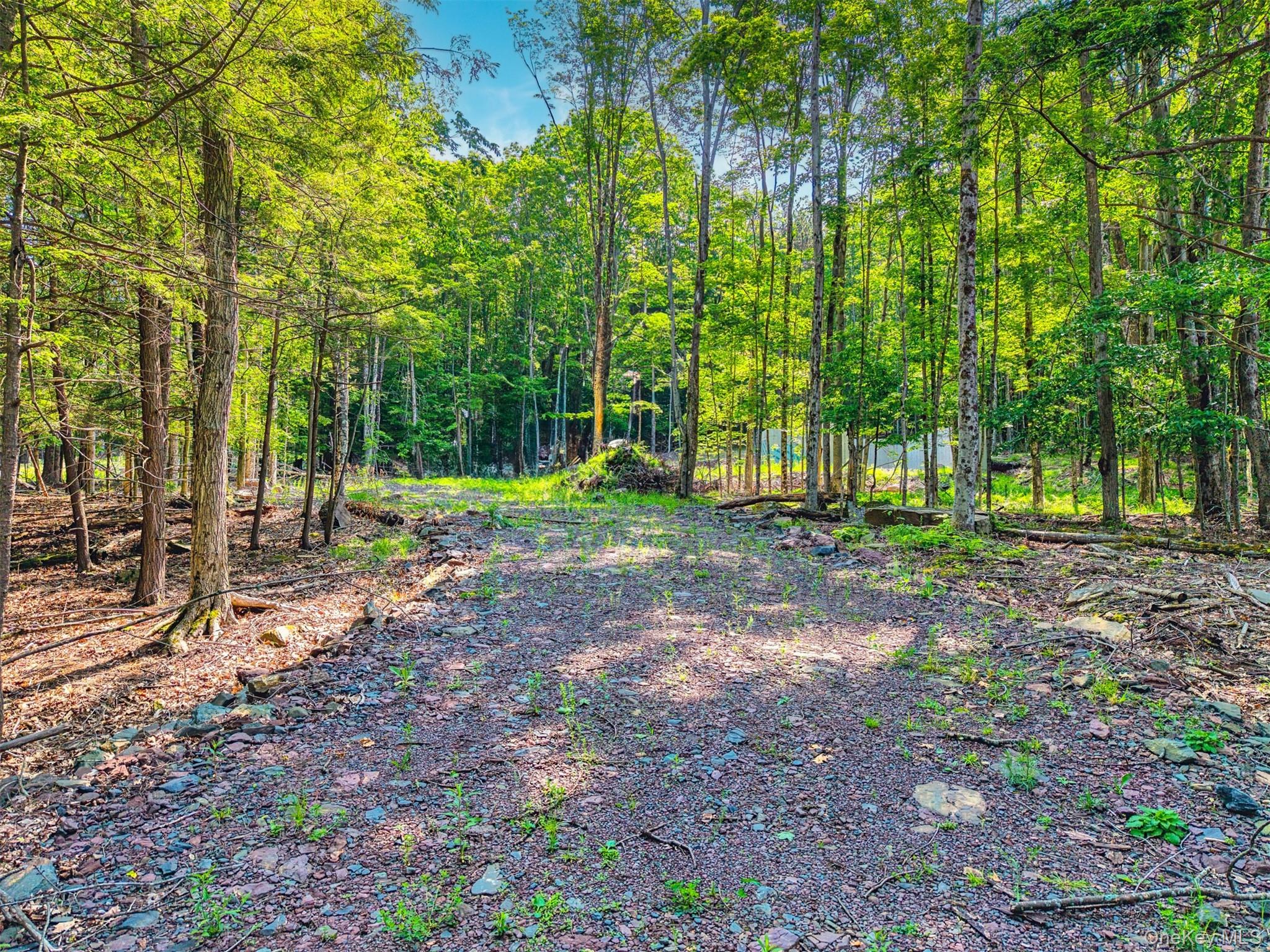 Tbd Boulder Brook Lots 33-38 Road Property Photo 6