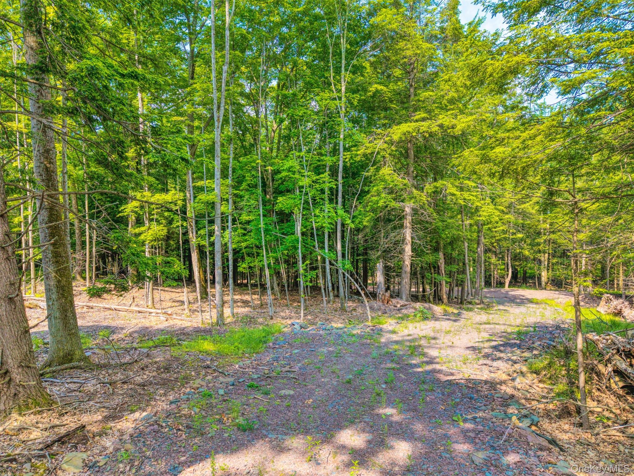 Tbd Boulder Brook Lots 33-38 Road Property Photo 8