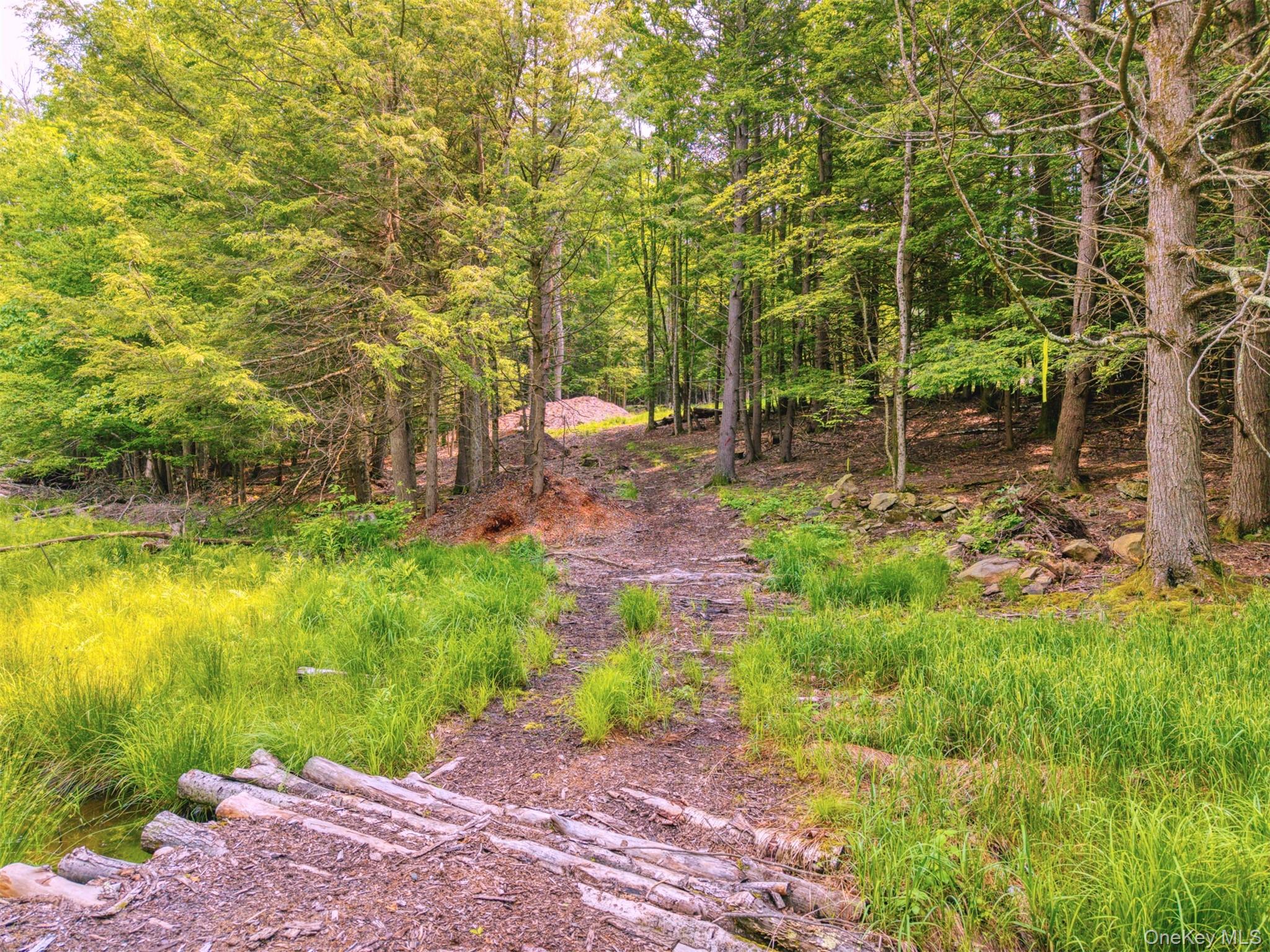Tbd Boulder Brook Lots 33-38 Road Property Photo 12