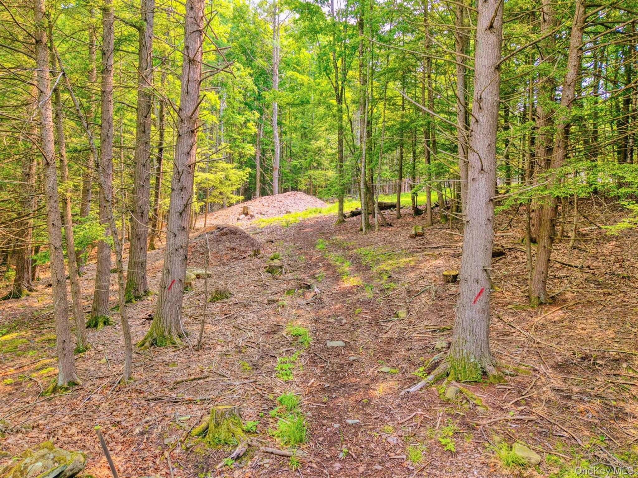 Tbd Boulder Brook Lots 33-38 Road Property Photo 13