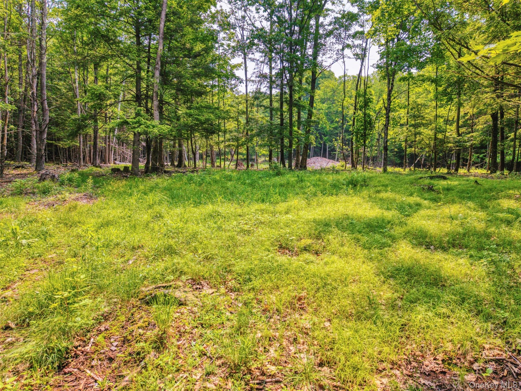 Tbd Boulder Brook Lots 33-38 Road Property Photo 14