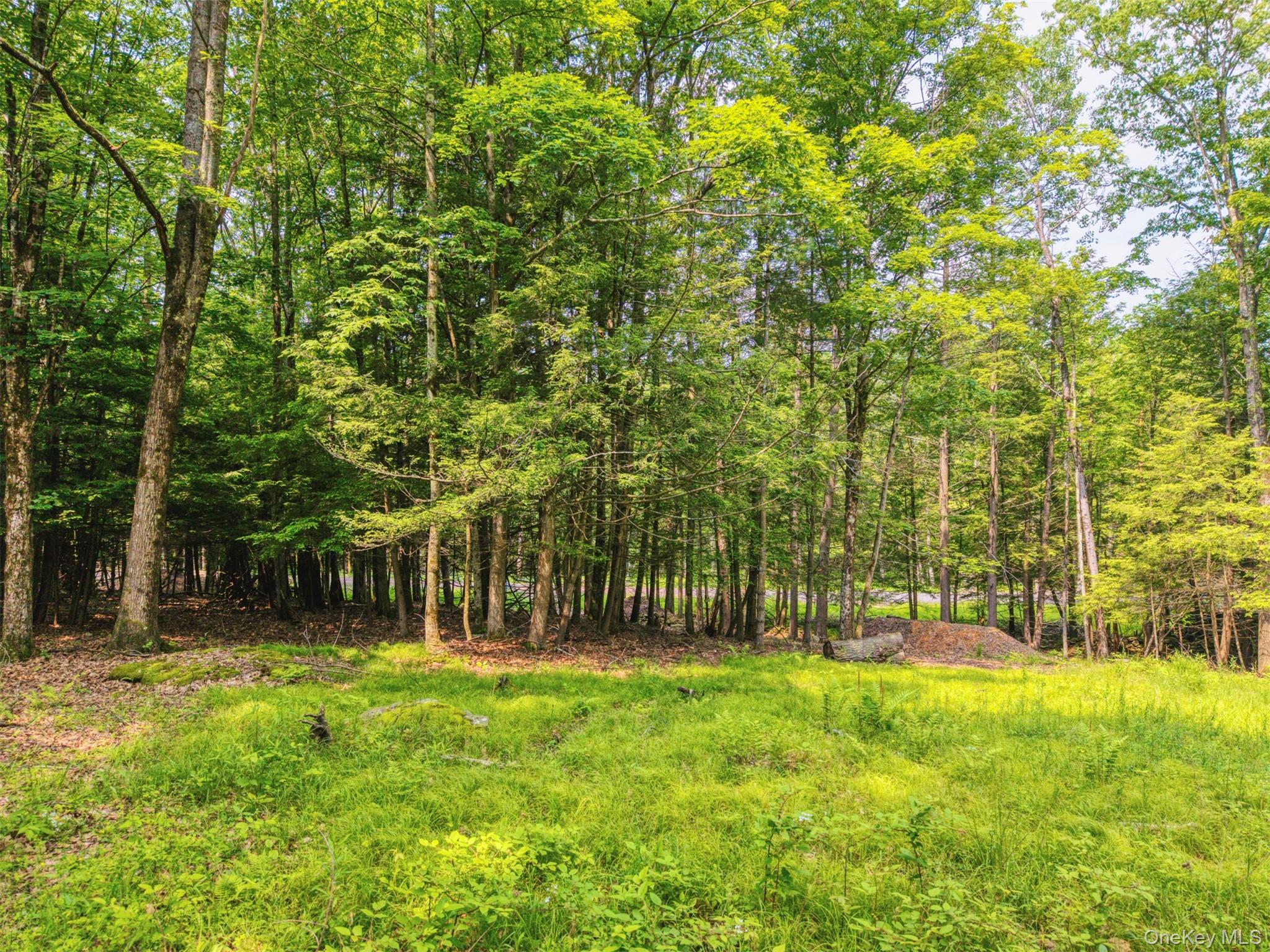 Tbd Boulder Brook Lots 33-38 Road Property Photo 15