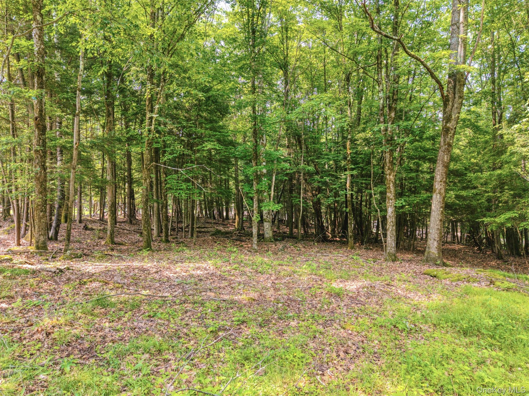 Tbd Boulder Brook Lots 33-38 Road Property Photo 16
