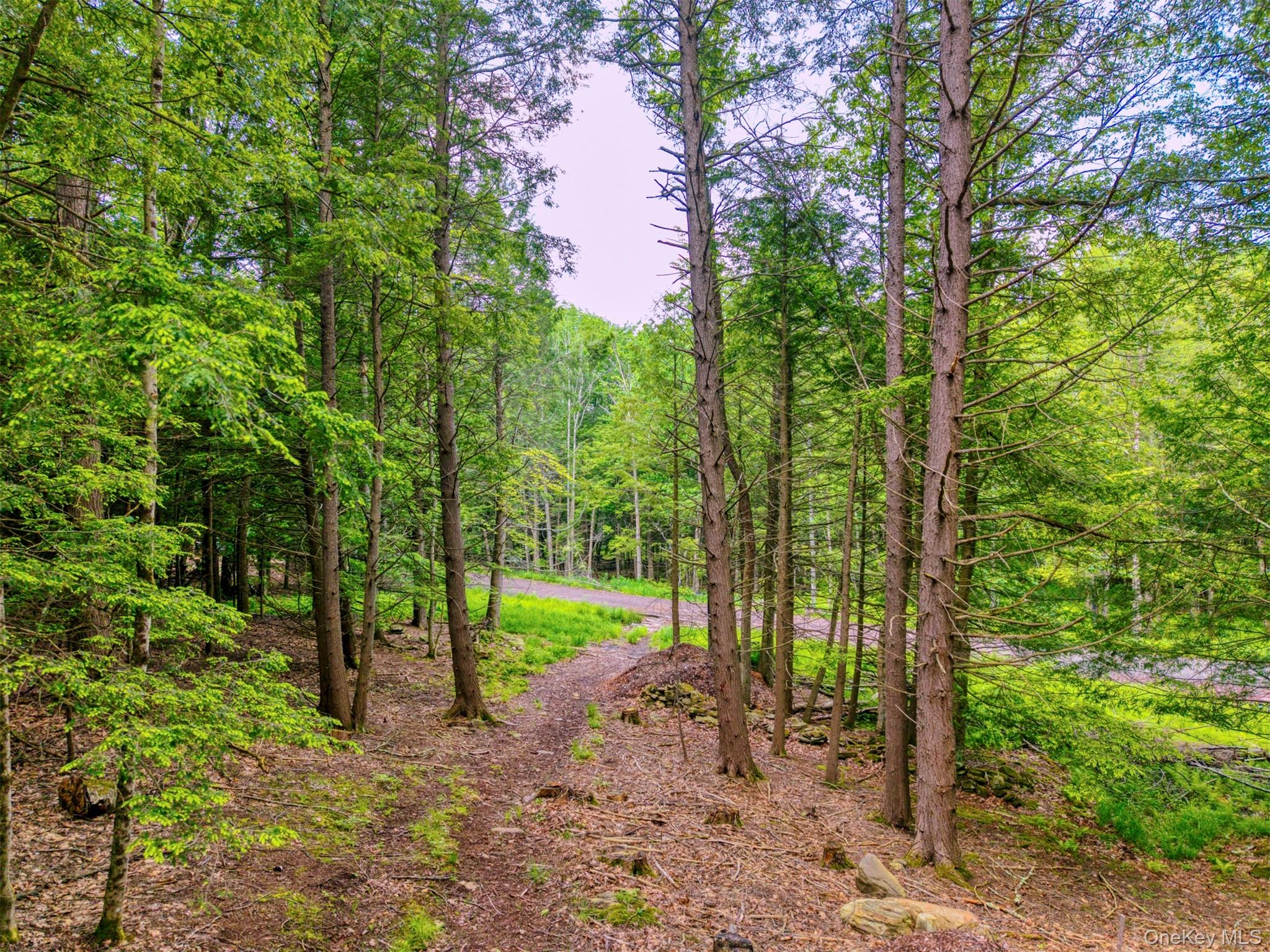 Tbd Boulder Brook Lots 33-38 Road Property Photo 17