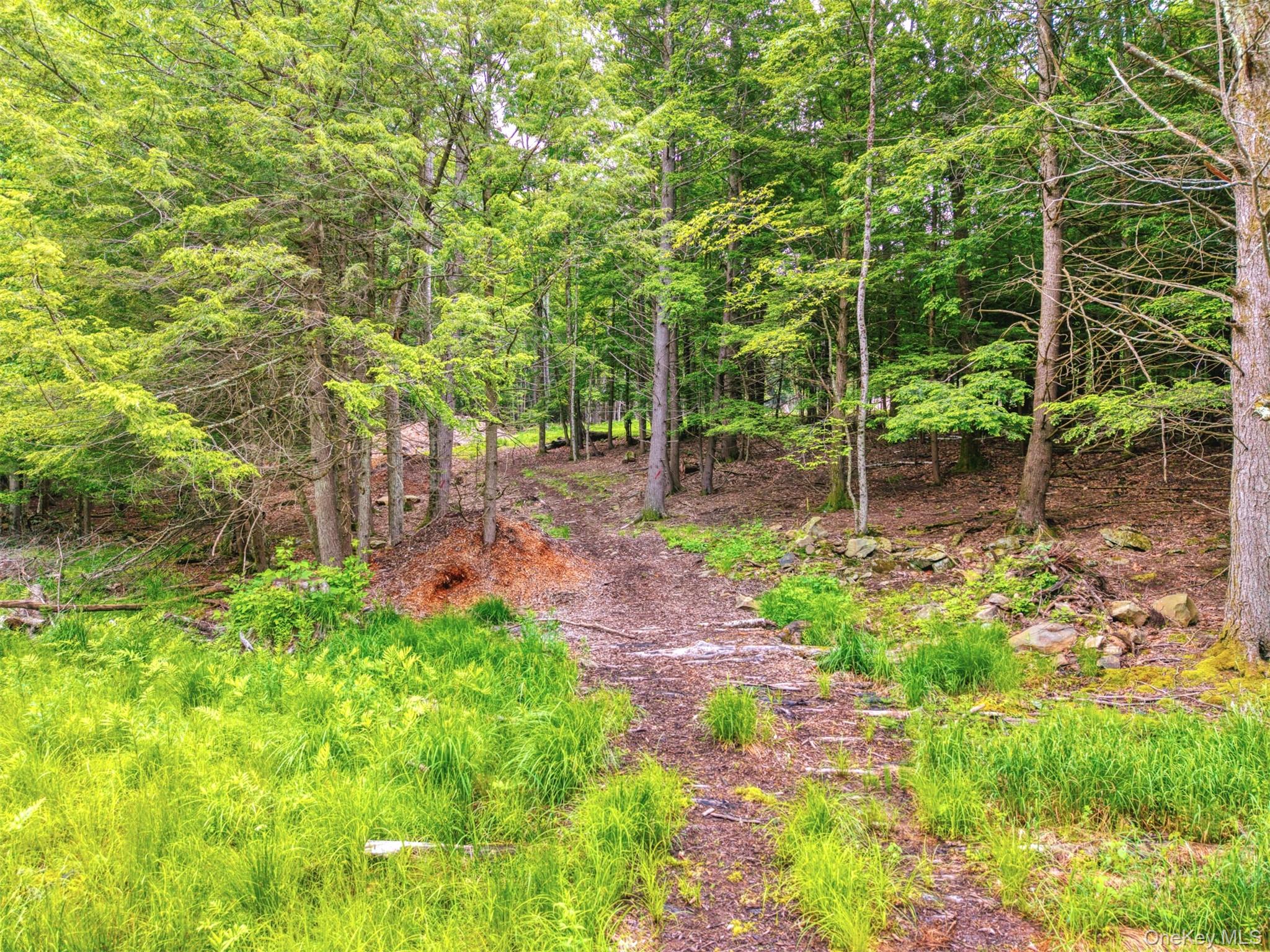 Tbd Boulder Brook Lots 33-38 Road Property Photo 18