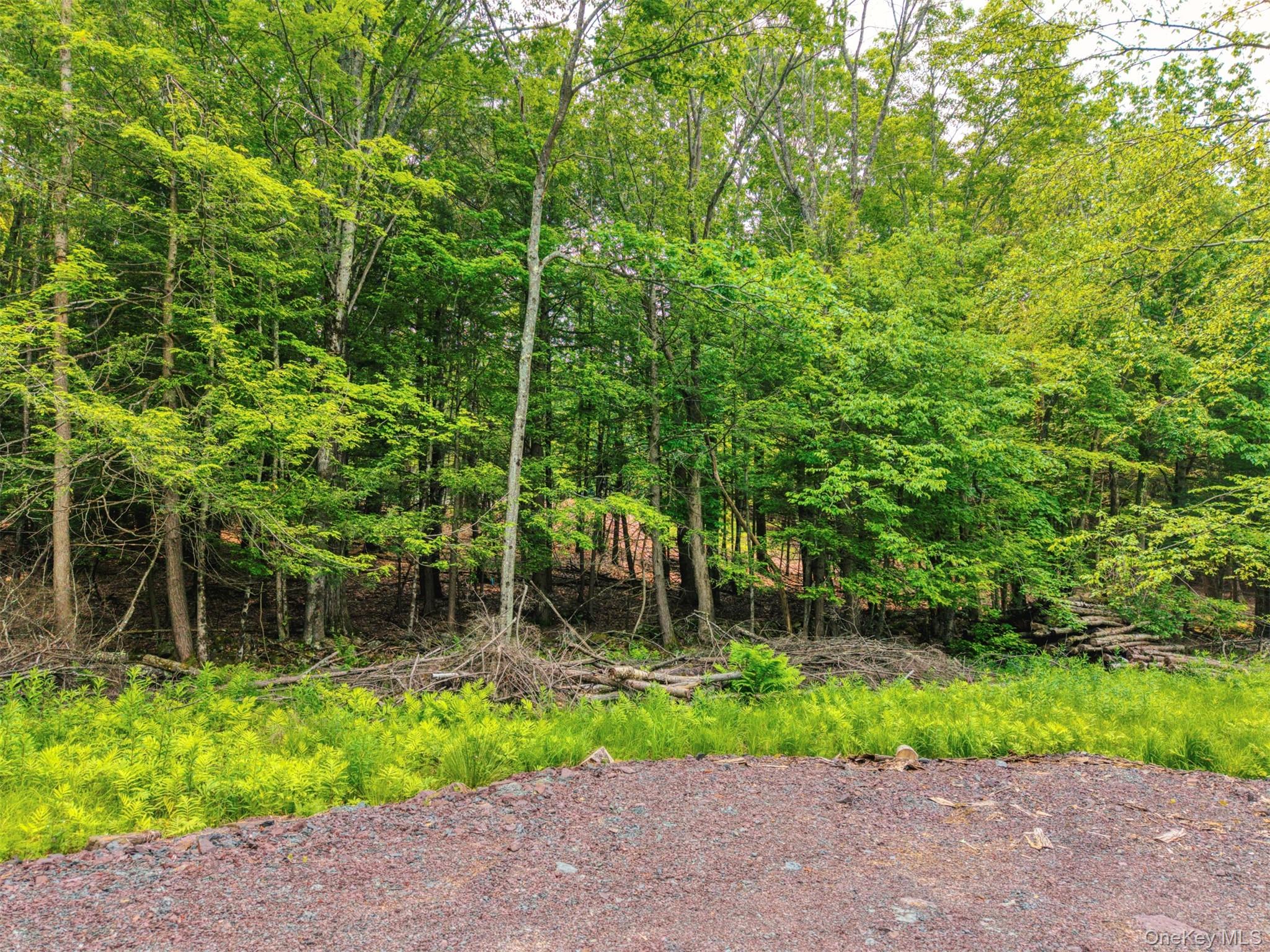 Tbd Boulder Brook Lots 33-38 Road Property Photo 19