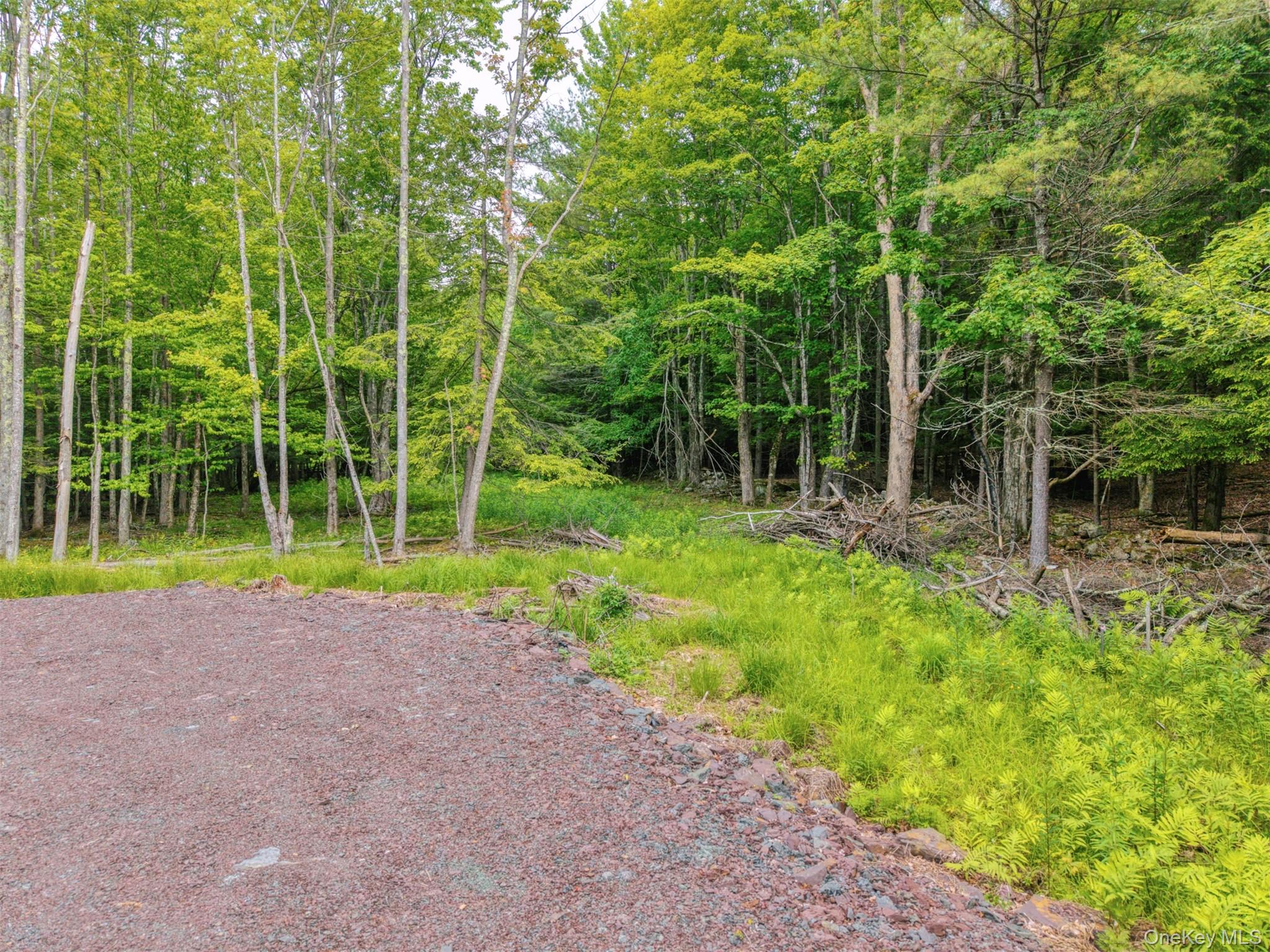 Tbd Boulder Brook Lots 33-38 Road Property Photo 23