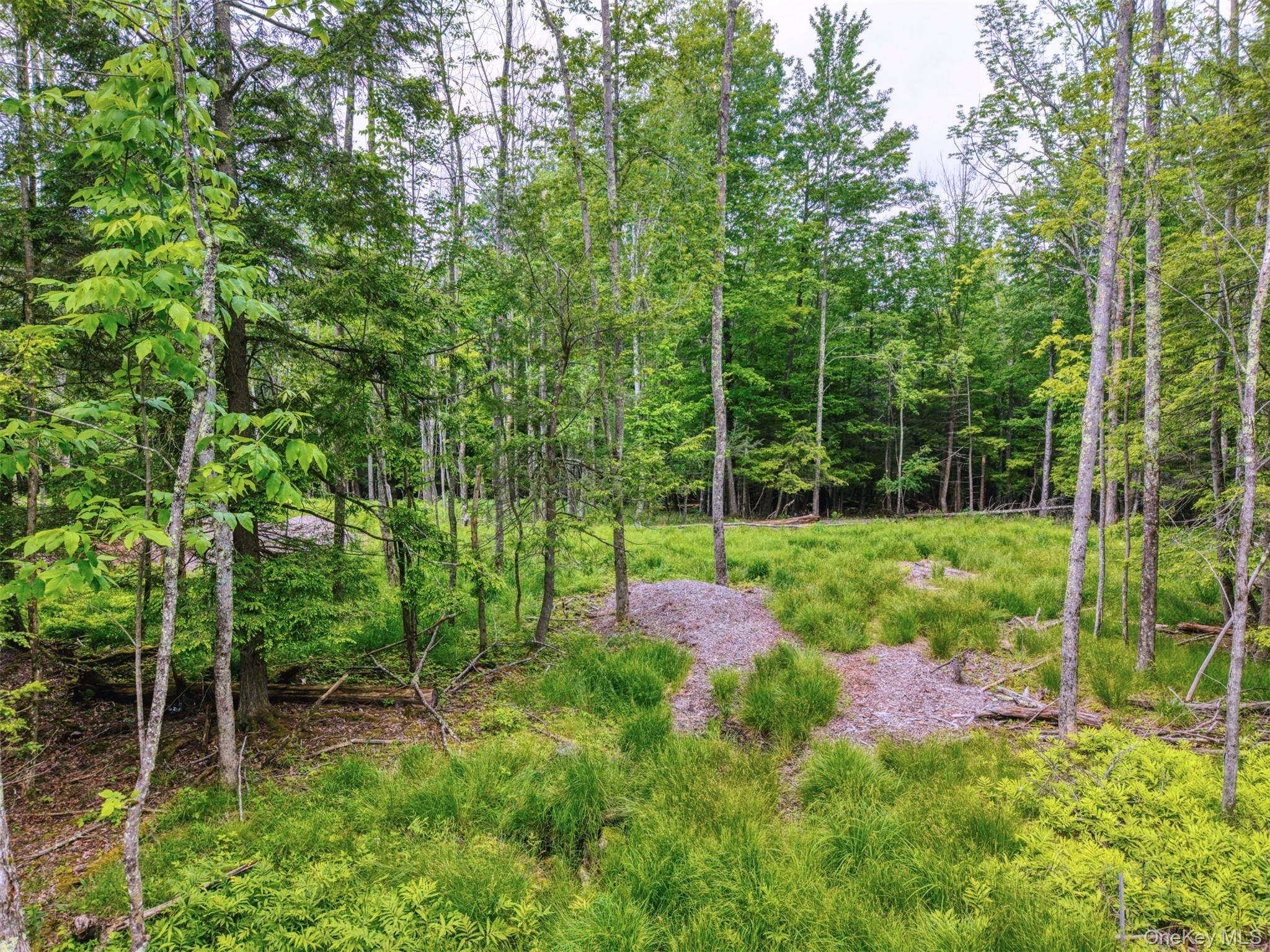 Tbd Boulder Brook Lots 33-38 Road Property Photo 25