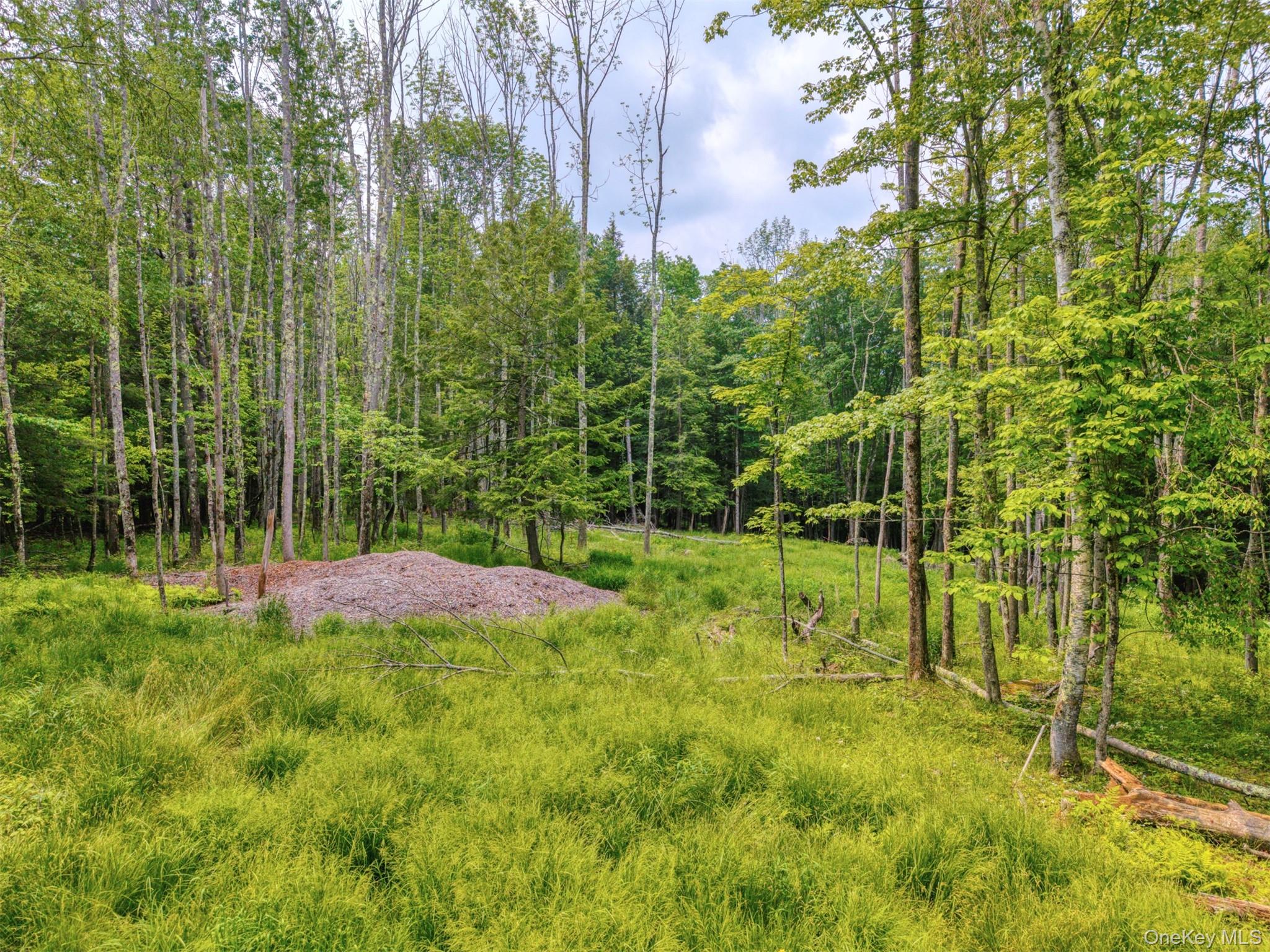 Tbd Boulder Brook Lots 33-38 Road Property Photo 26