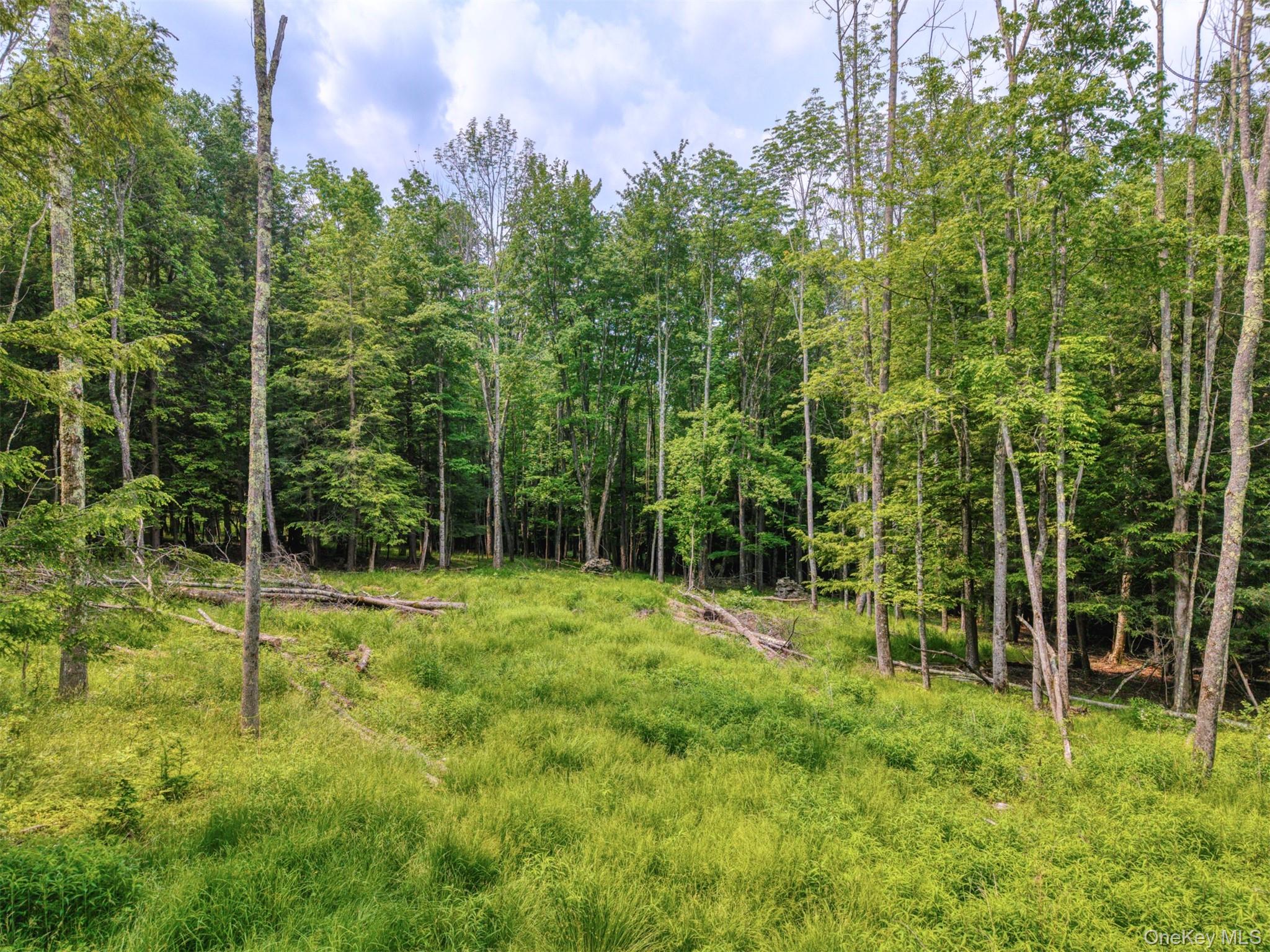 Tbd Boulder Brook Lots 33-38 Road Property Photo 27