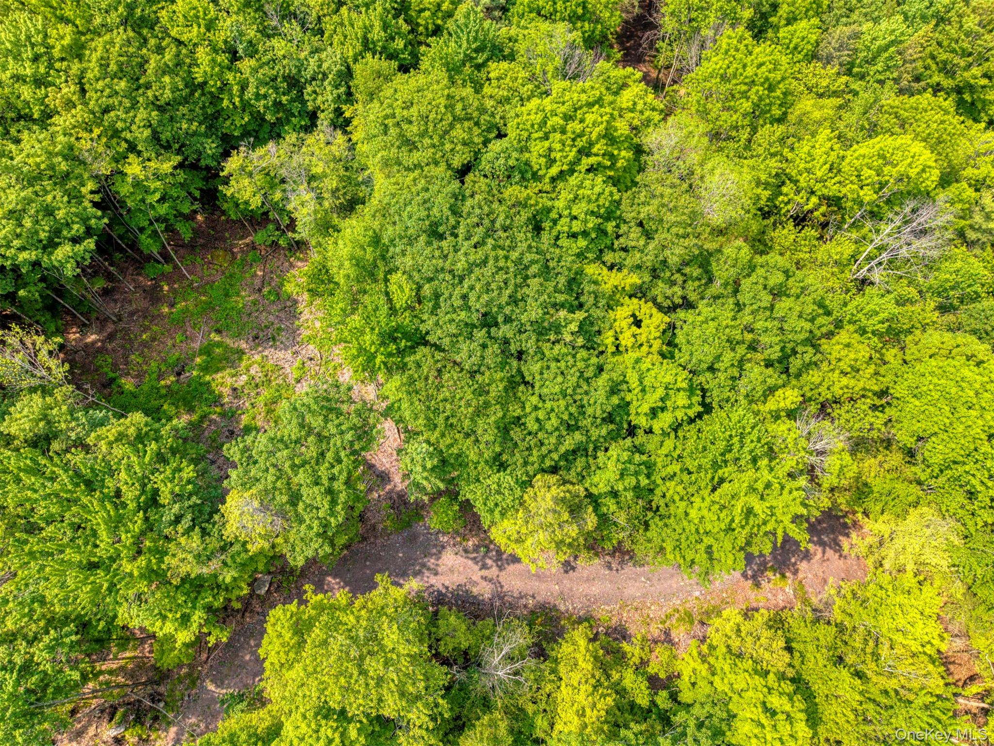 Tbd Boulder Brook Lots 33-38 Road Property Photo 34