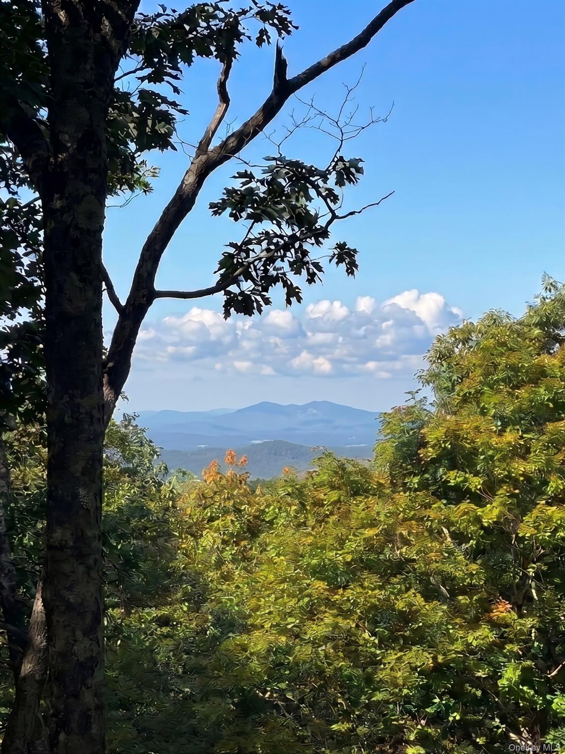 400 Mercer Mountain Road Property Photo 1