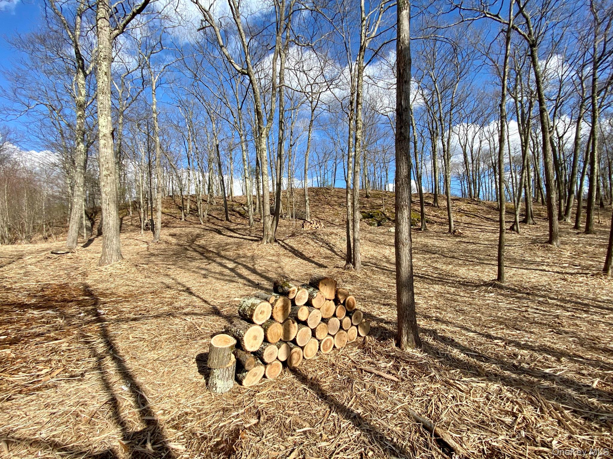 400 Mercer Mountain Road Property Photo 13