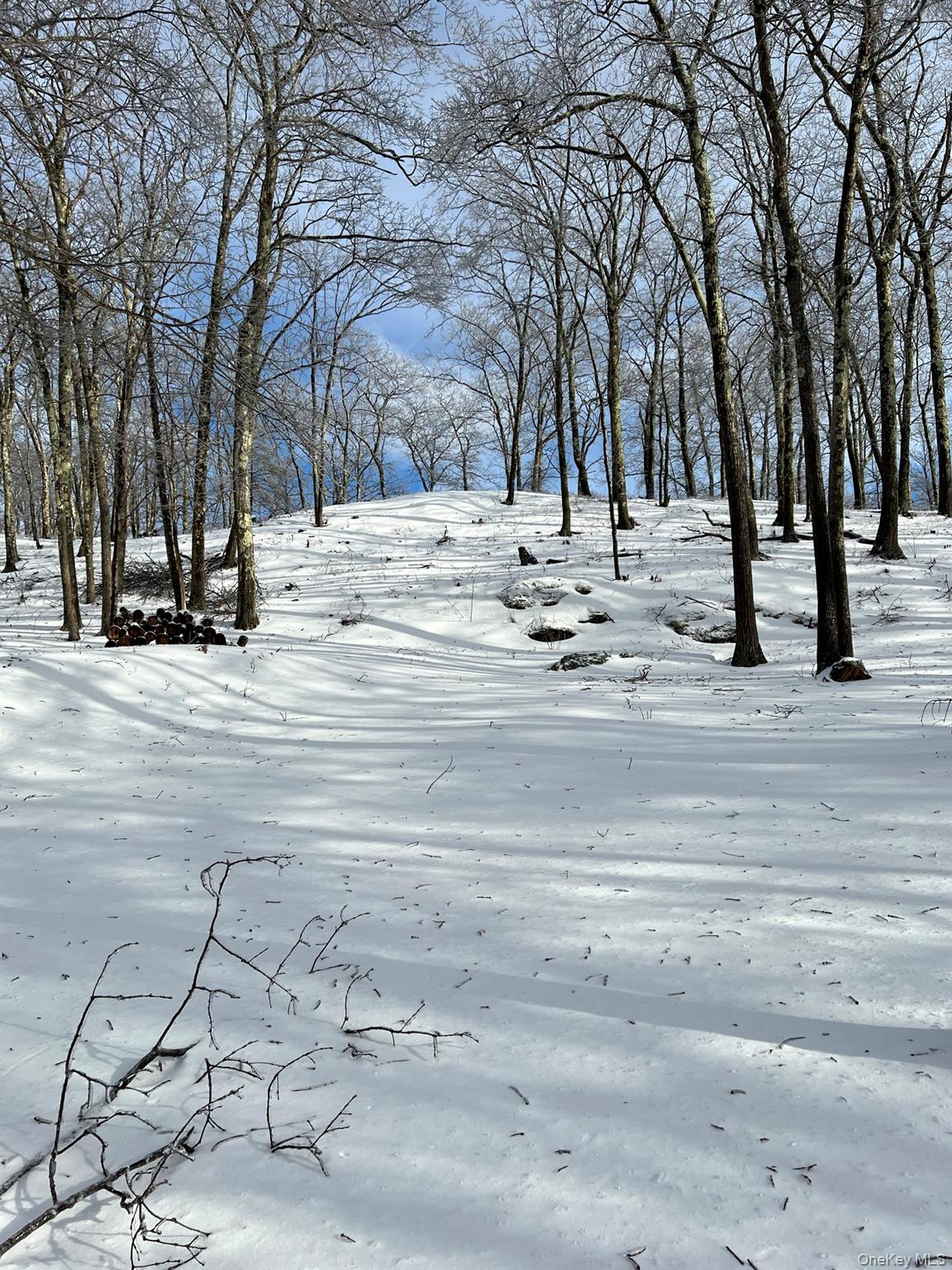 400 Mercer Mountain Road Property Photo 14