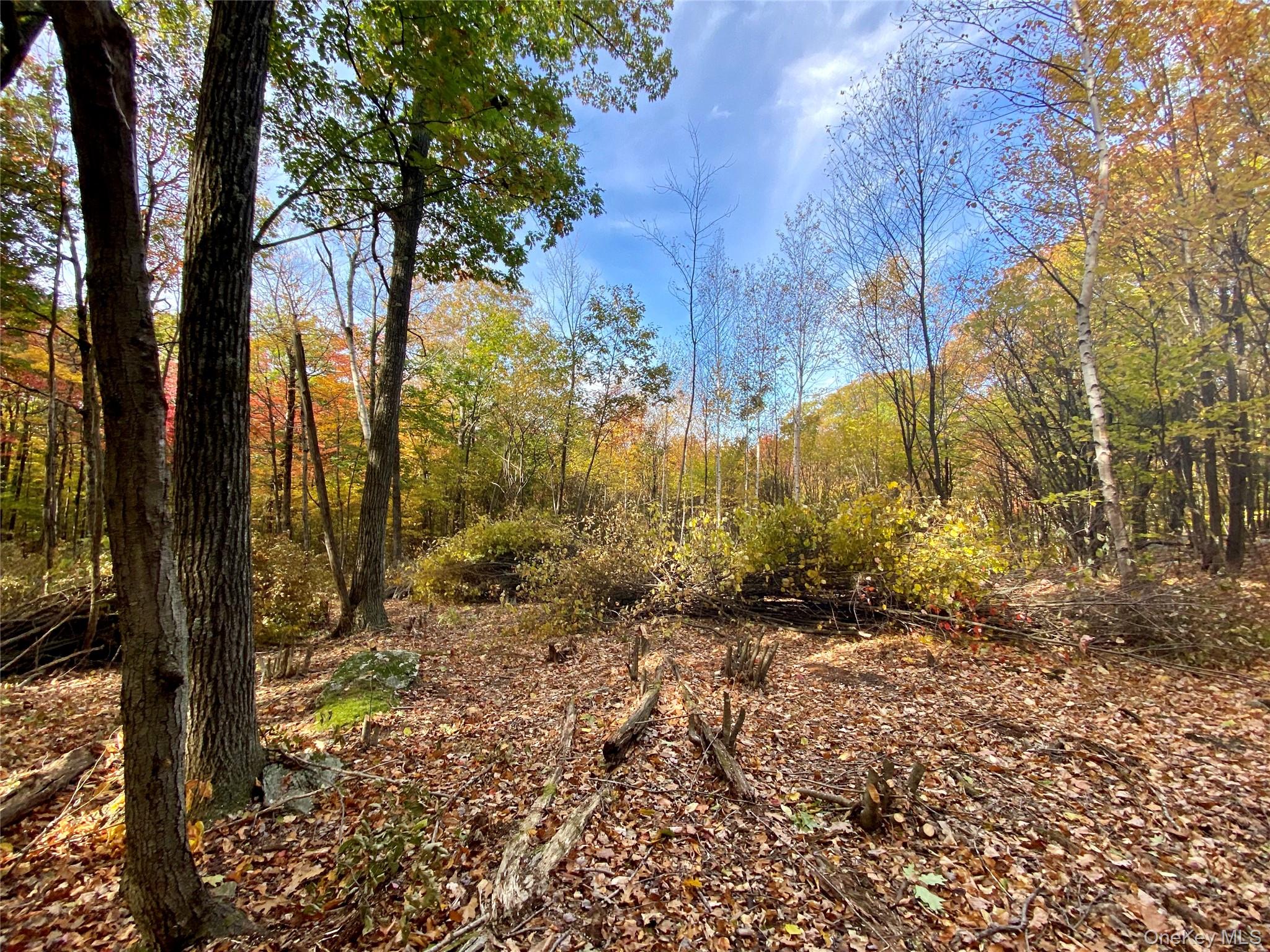 400 Mercer Mountain Road Property Photo 15