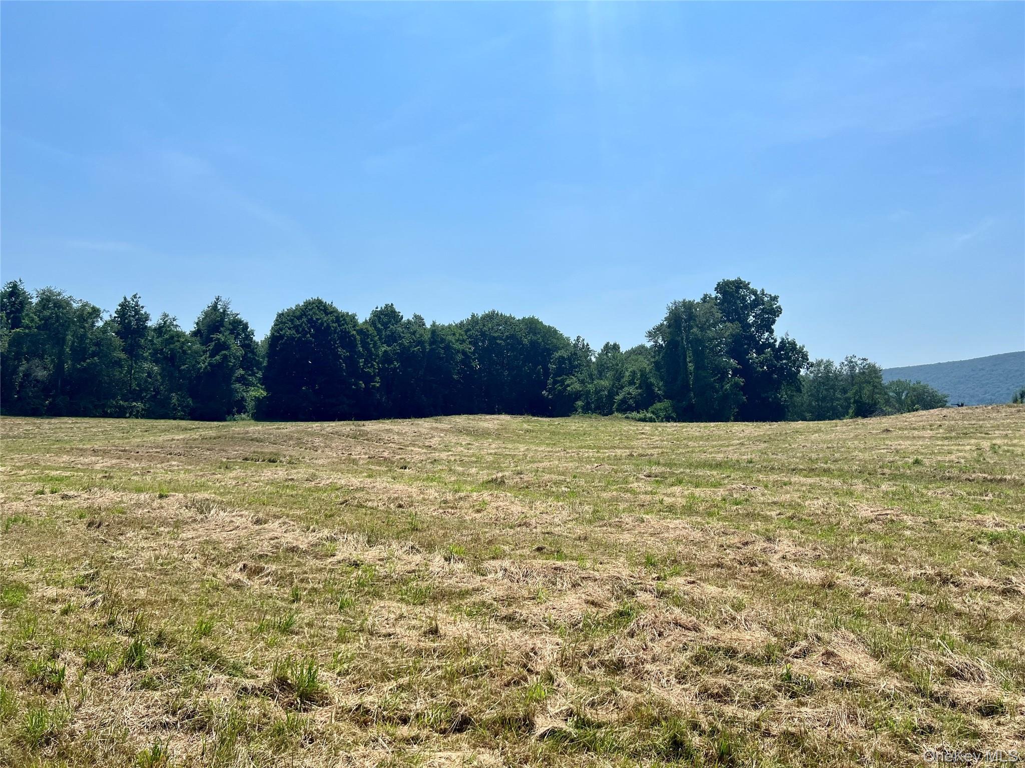 7668 Route 82 Property Photo 30